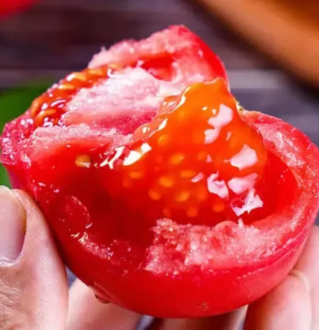 🍅🍅Semena zakrslých rajčat v květináčích