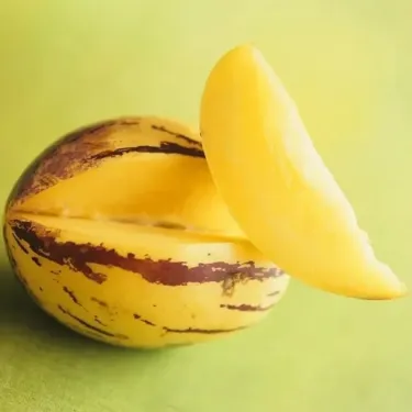 🌿 Semínka Ženšenu – Vypěstujte si přírodní sílu a zdraví na své zahradě! 🌱