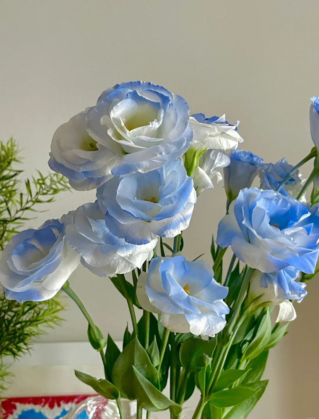 💐 Lisianthus – Nadčasová krása, věčná láska 💫