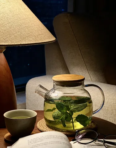 🍹🥒🍲 Bylinková zahrádka pro každého: Máta, Bazalka, Medovka, Kopr – Na mojito, na Kulajdu i do čaje!