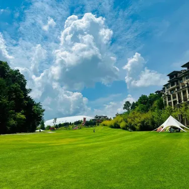 Semena trávy „Four Seasons“ – zakrslá stálezelená travní směs🌱🌿