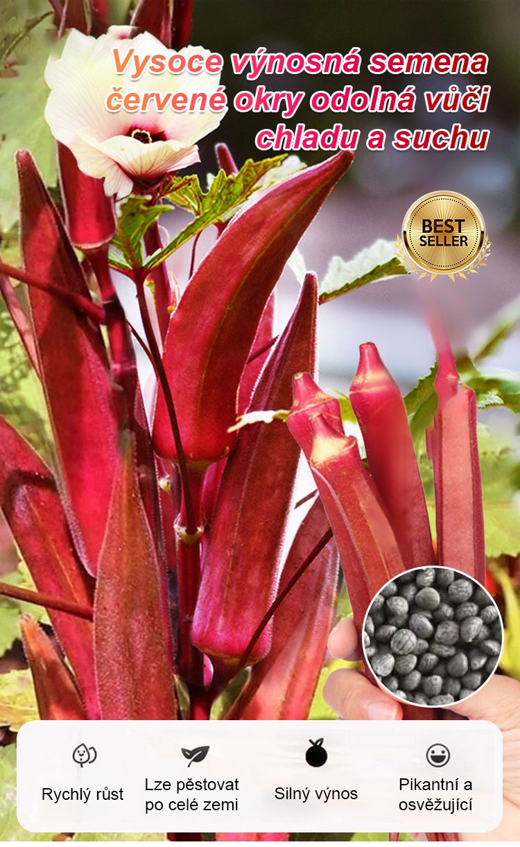 Vysoce výnosná semena červené okry odolná vůči chladu a suchu – AKCE 1+1 ZDARMA a DOPRAVA DOMŮ!