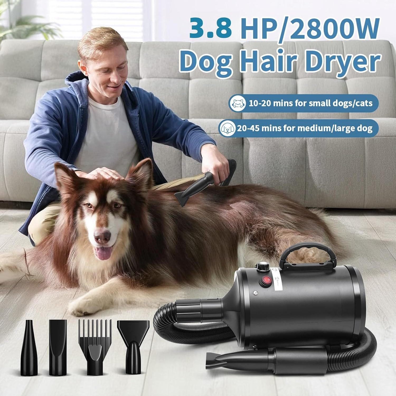 Pet dryer