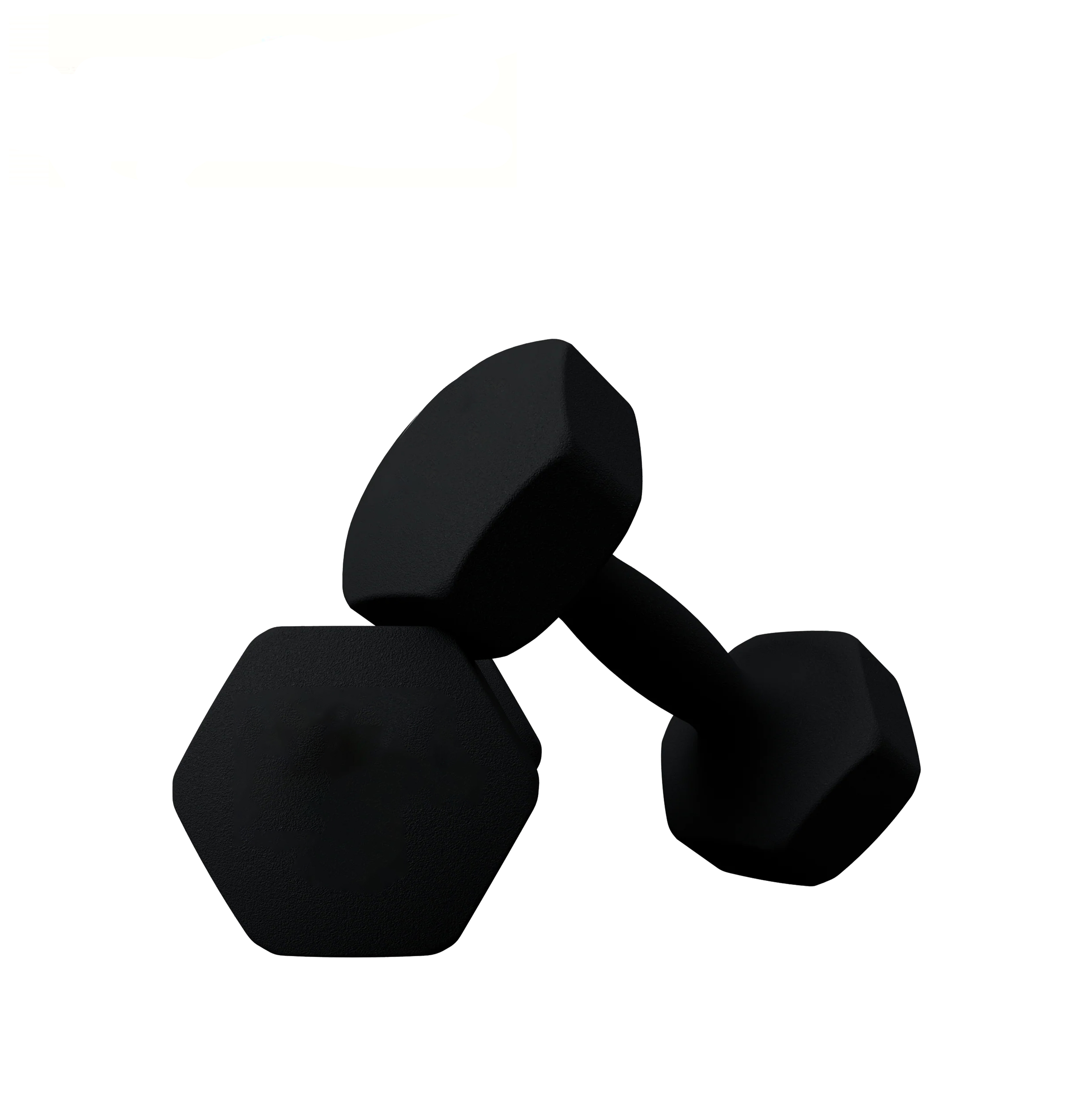BGTD-001 Neoprene Coated Cast Iron Dumbbell Weights for Gym Fitness