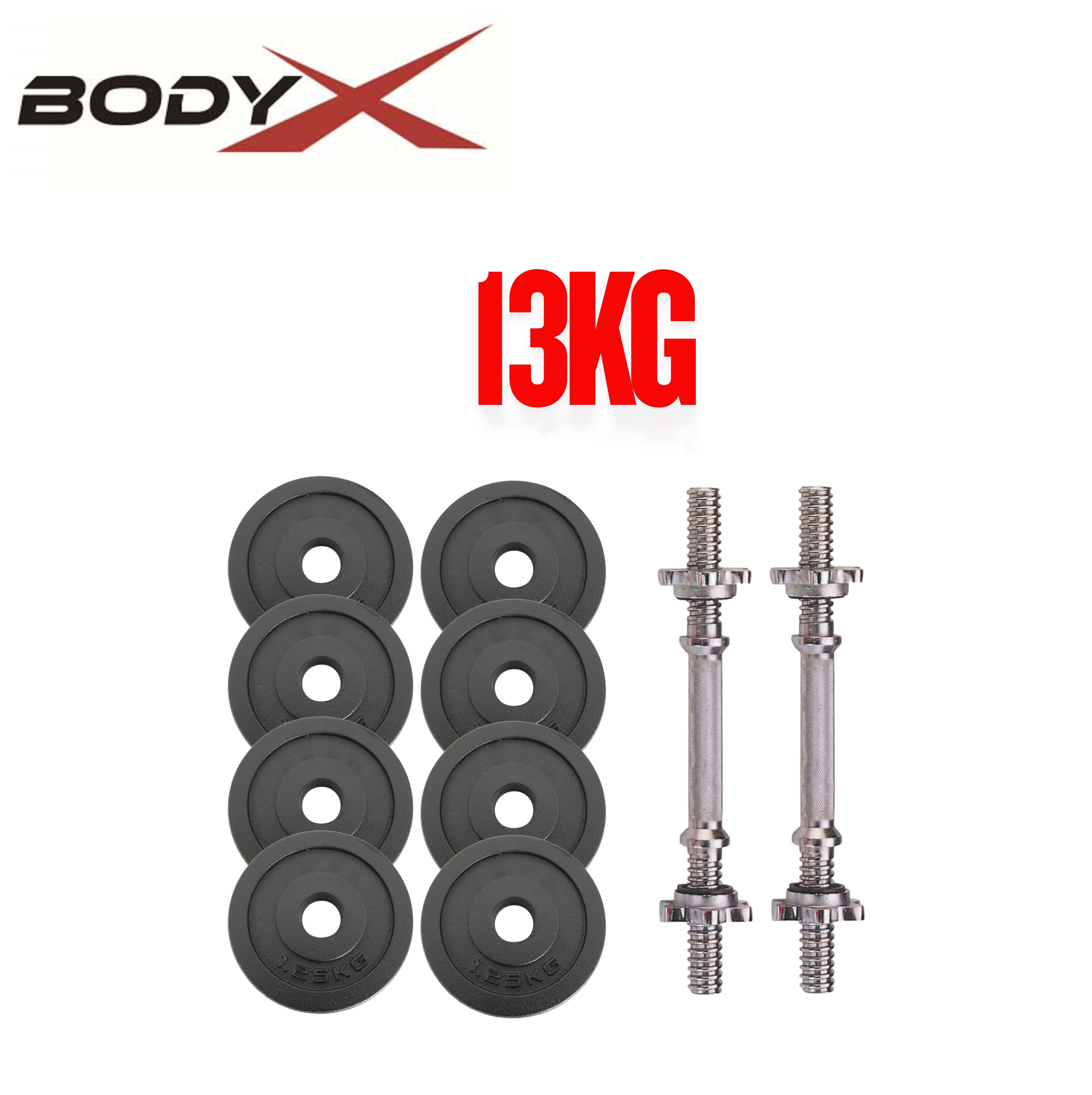 BYW104 Fitness 13 KG Cast Iron 14" Spinlock Dumbbell Set