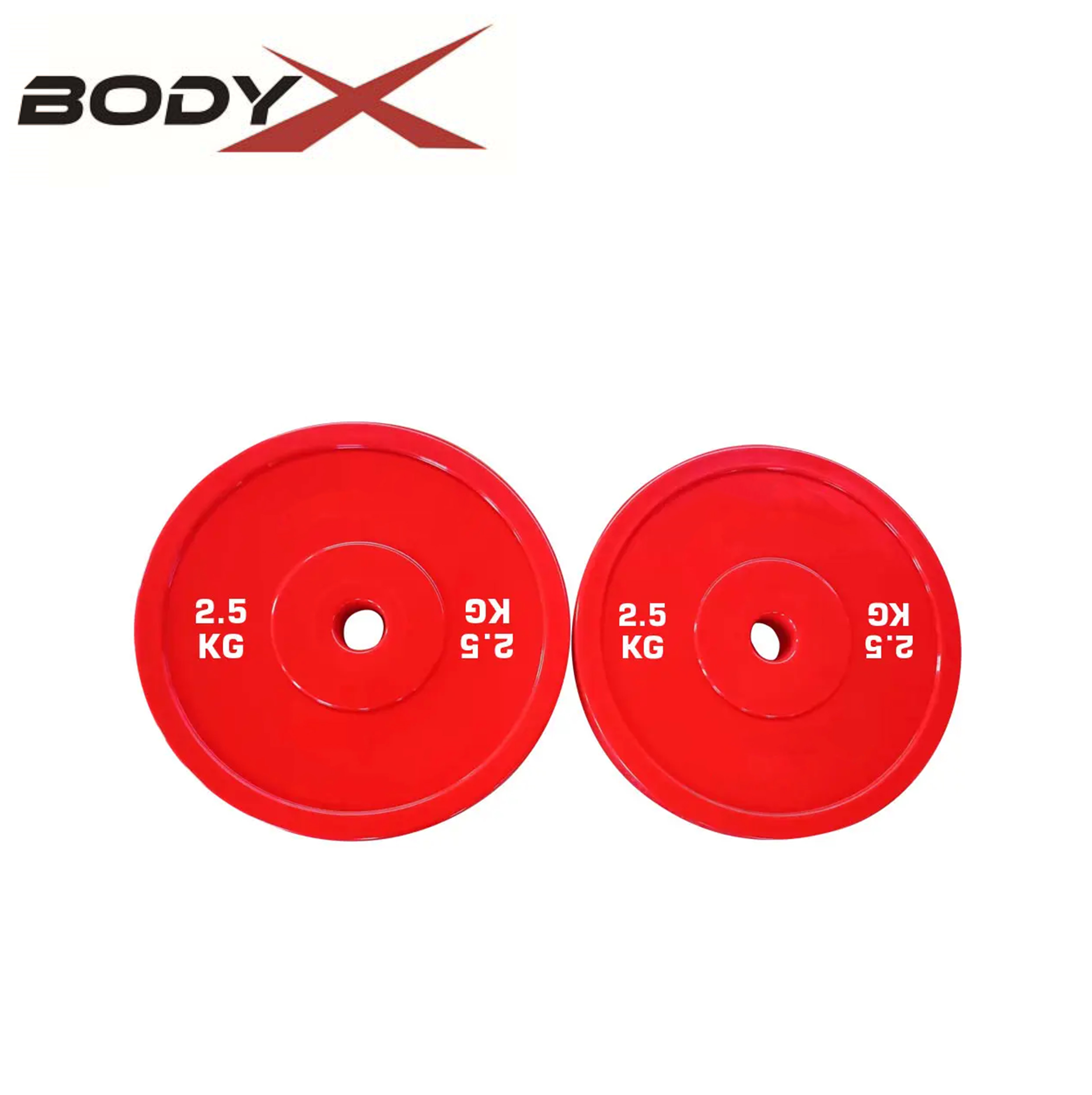 BCB215 Technique Plates