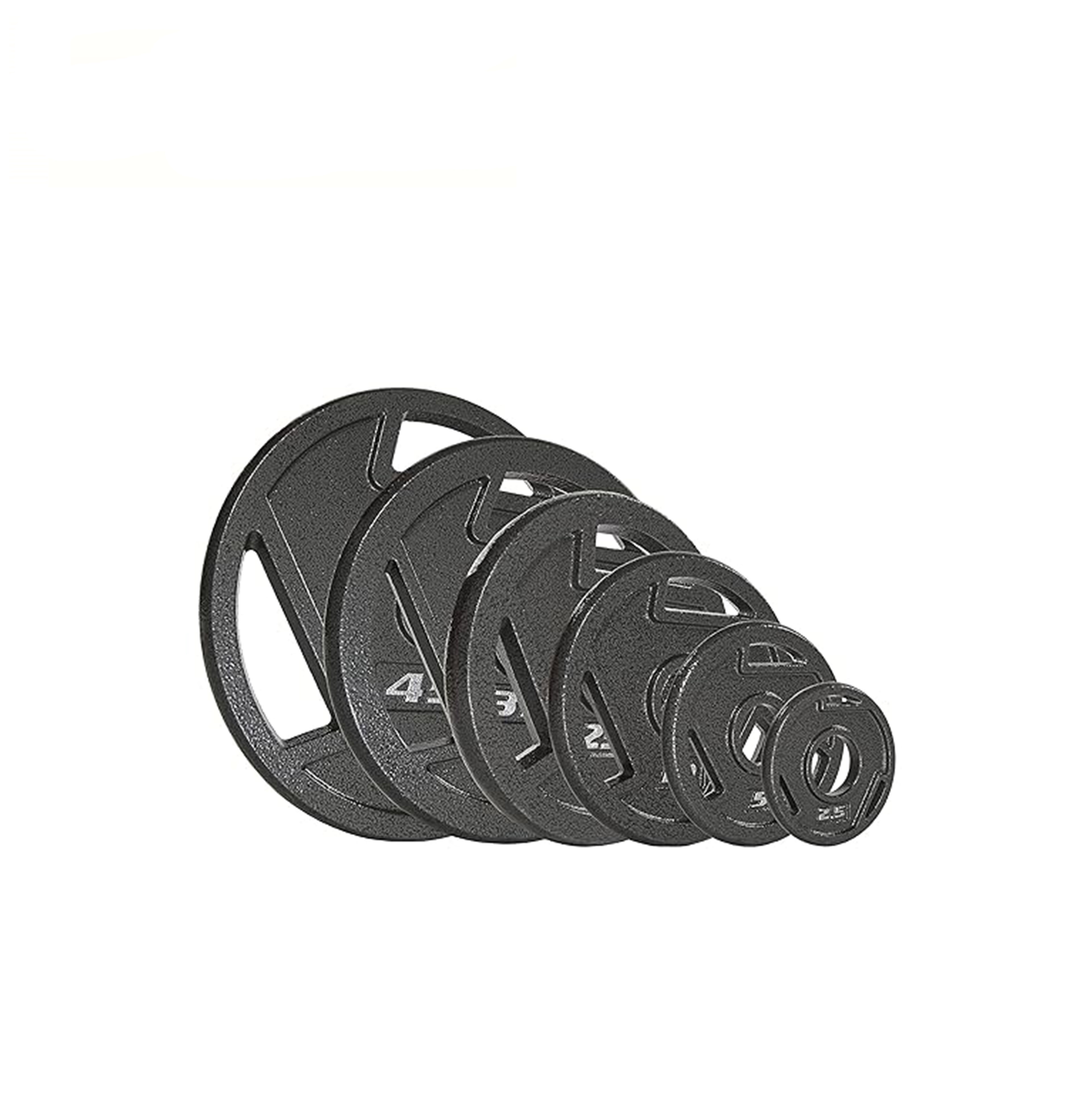 BIP-5 Fitness Cast Iron Plate Weight Plate