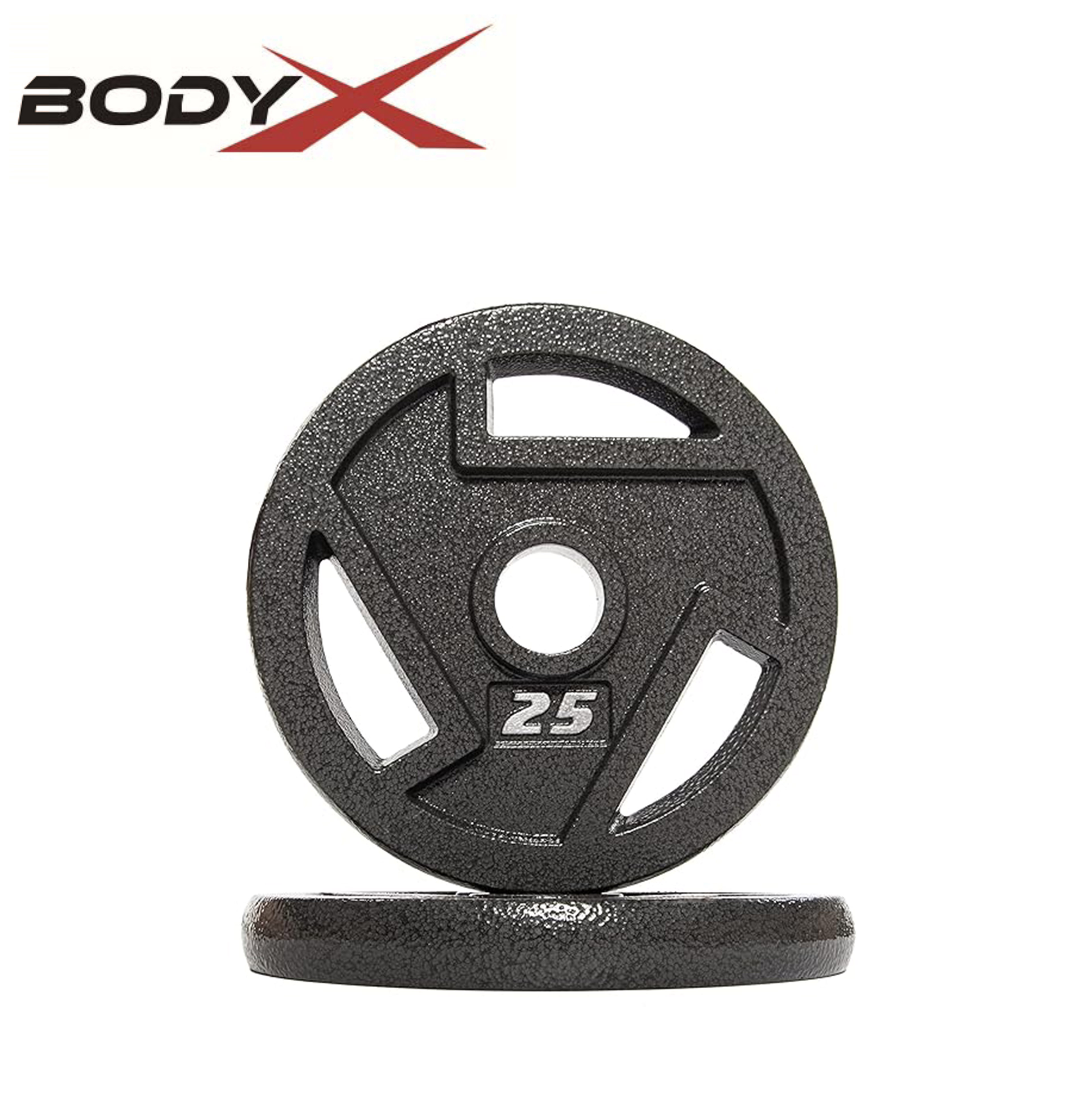 BIP-5 Fitness Cast Iron Plate Weight Plate