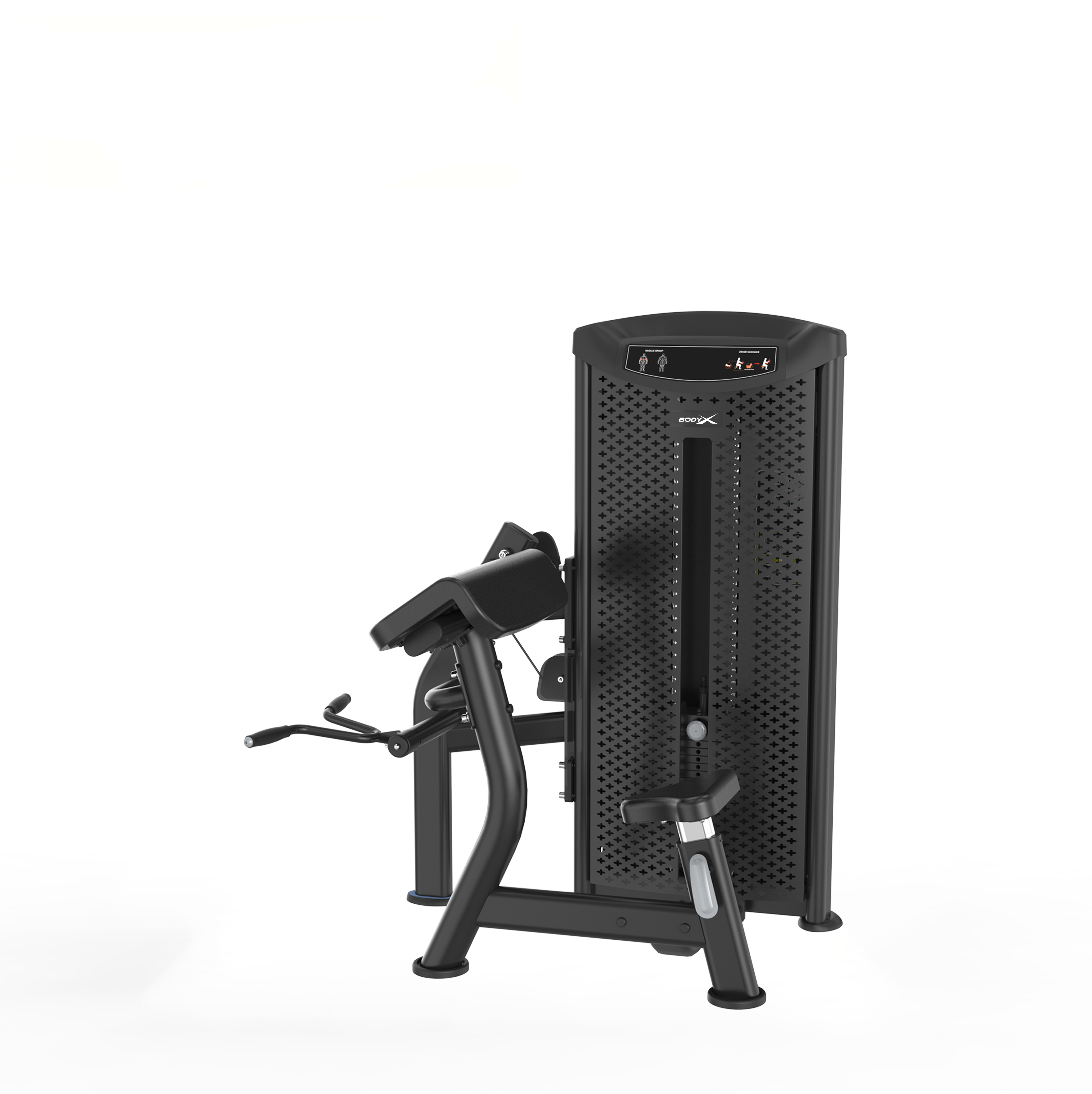 BAM6006 High Quality Commercial Gym Equipment Seated 45 Degree Biceps Curl Machine