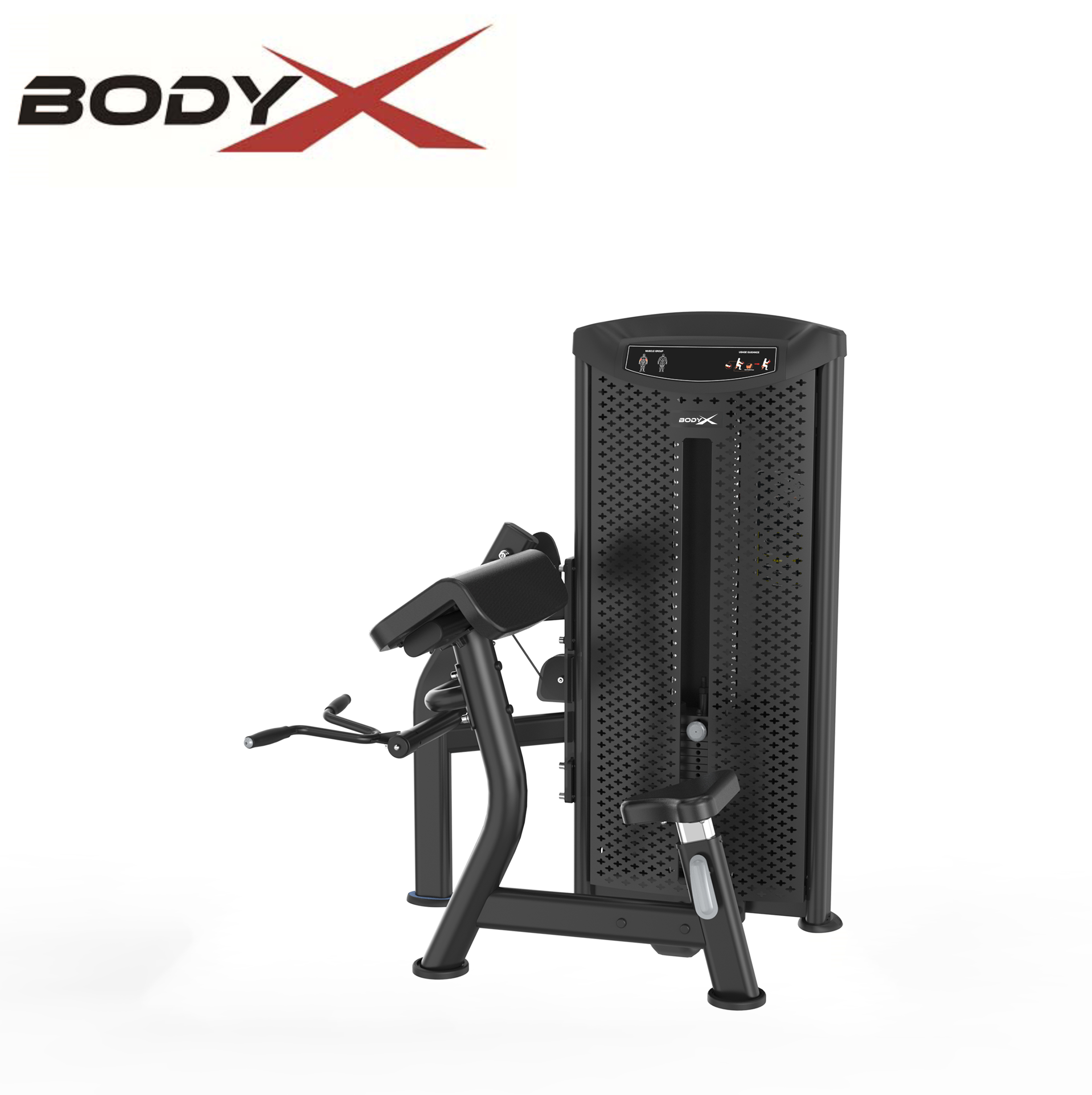 BAM6006 High Quality Commercial Gym Equipment Seated 45 Degree Biceps Curl Machine