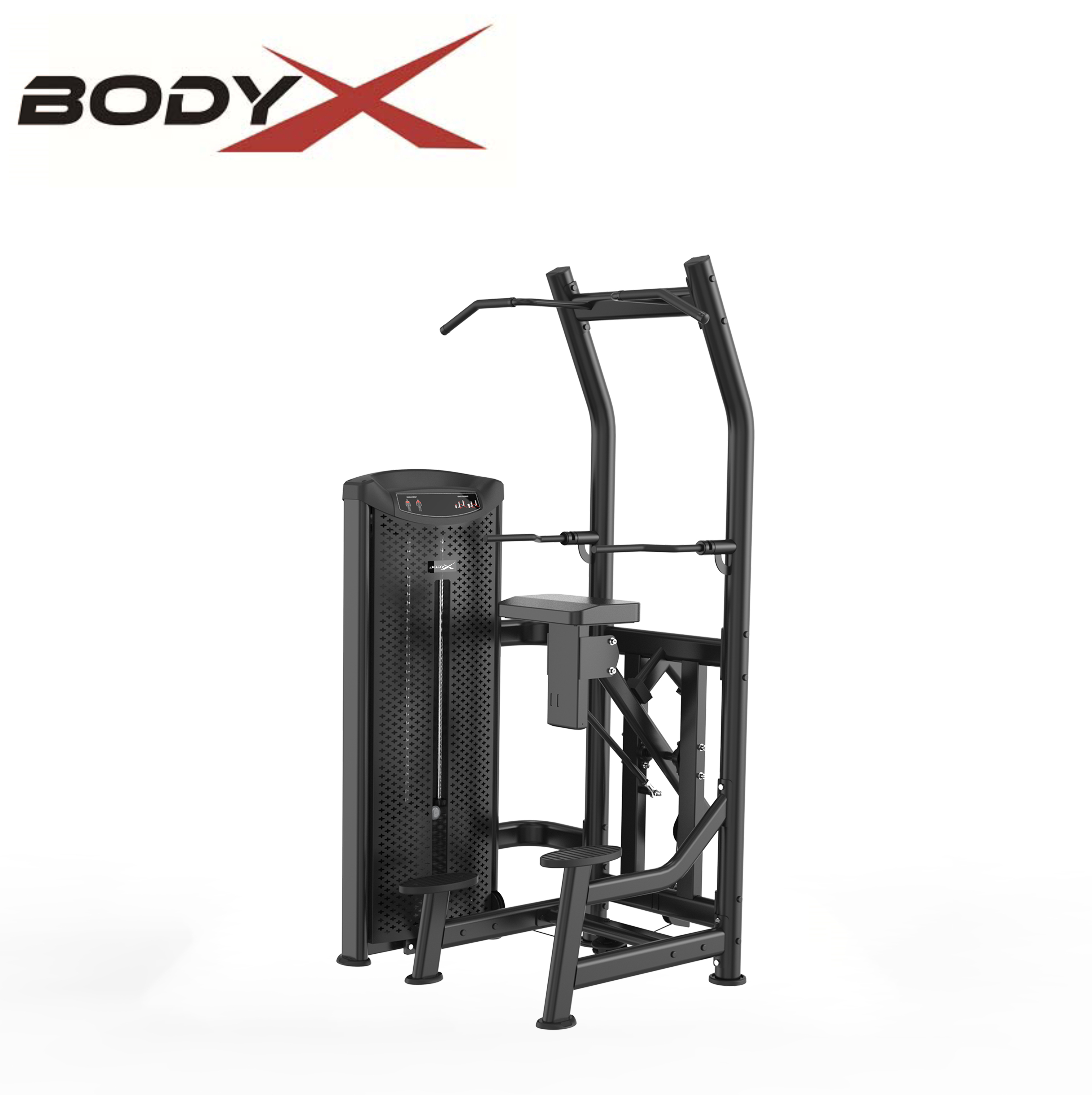 BAM6008 High Quality Gym Equipment Factory Direct Wholesale Top Level Commercial Use Assisted Dip Chin up Machine