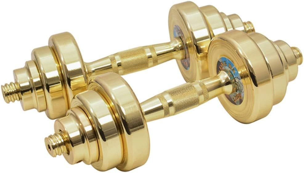 BG110 Weight Lifting Gold's Gym 110 Lb Weight Set Adjustable