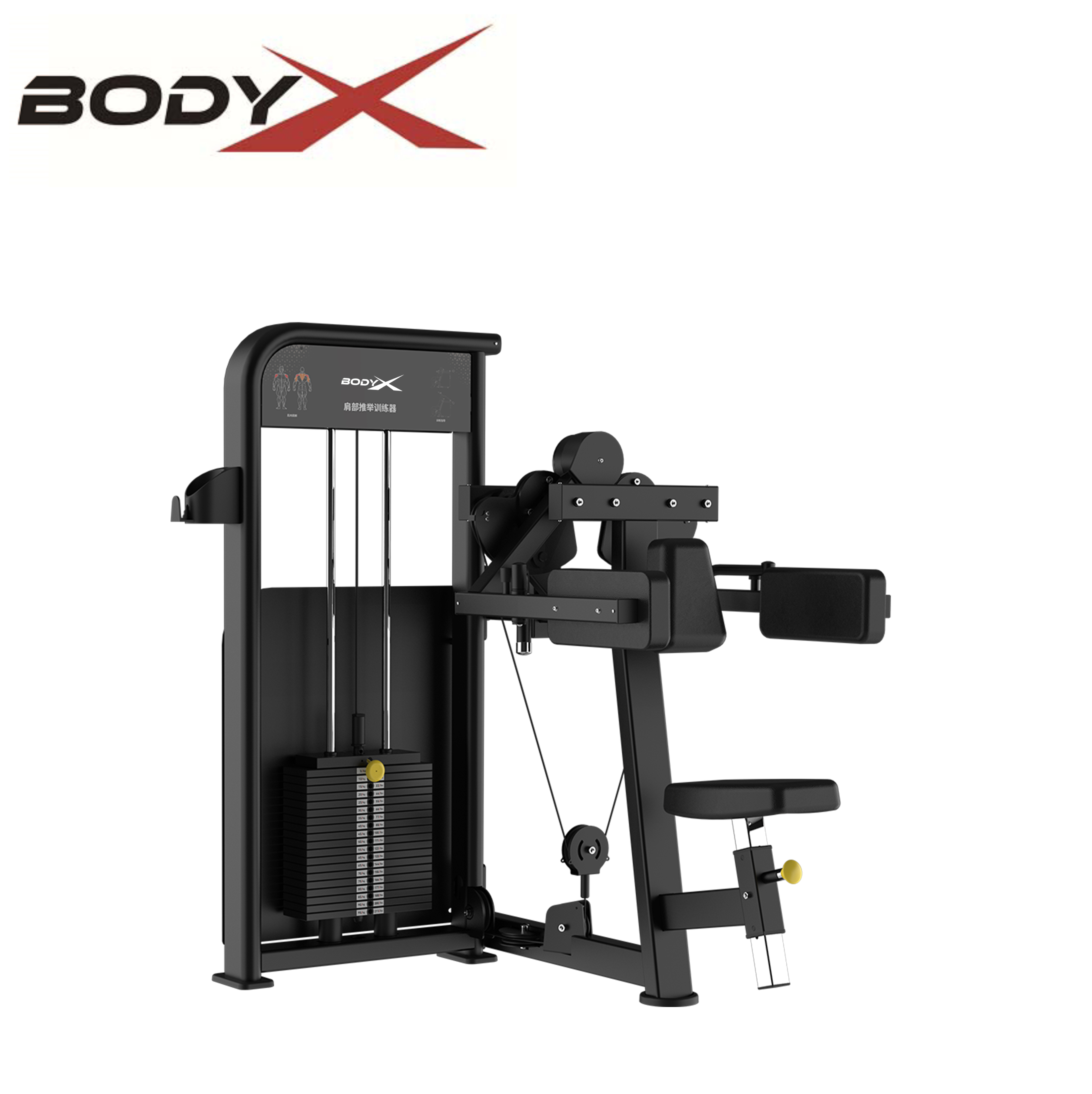 BLY-03A Factory Direct Wholesale Fitness Equipment Commercial Use Delts Machine