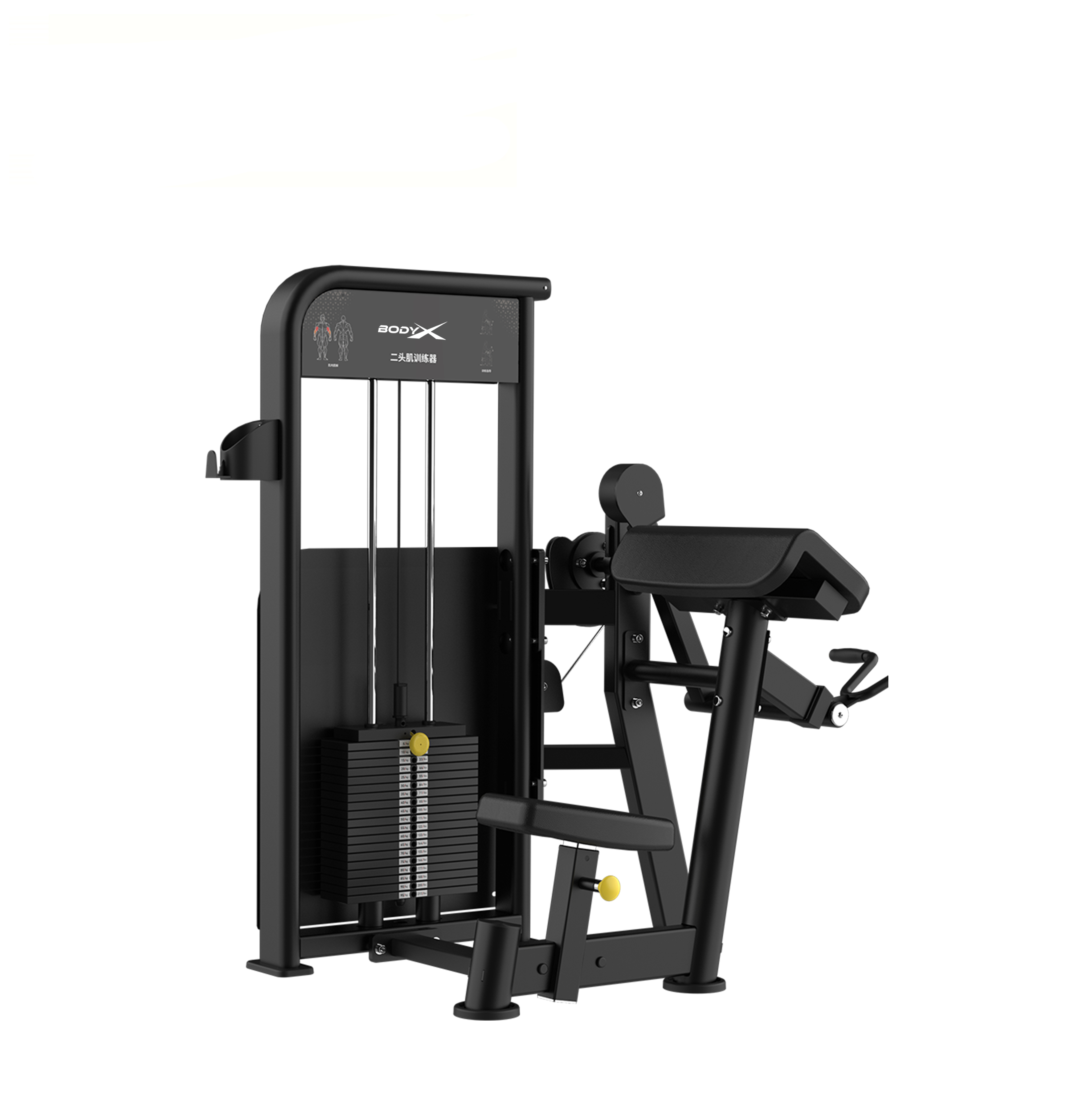 BLY-06 High Quality Gym Equipment Commercial Use Steel Biceps Curl for Chest & Back