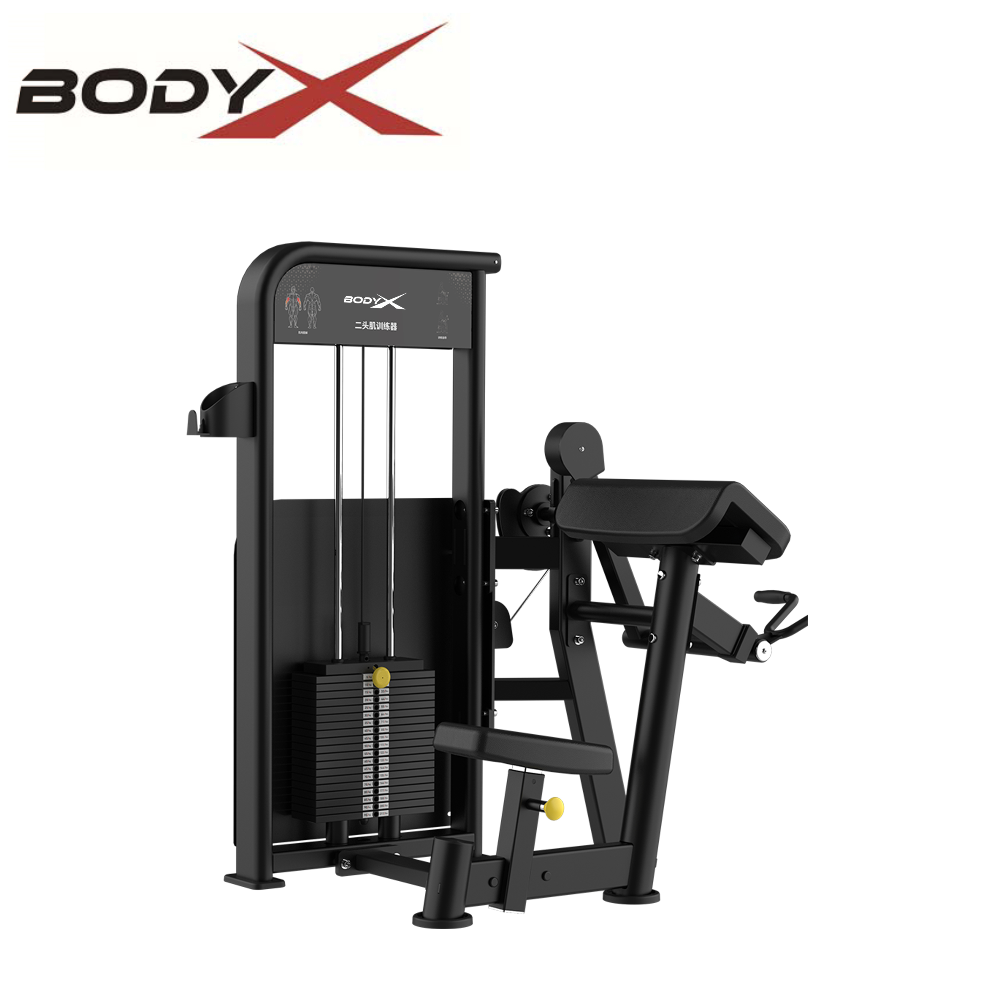 BLY-06 High Quality Gym Equipment Commercial Use Steel Biceps Curl for Chest & Back