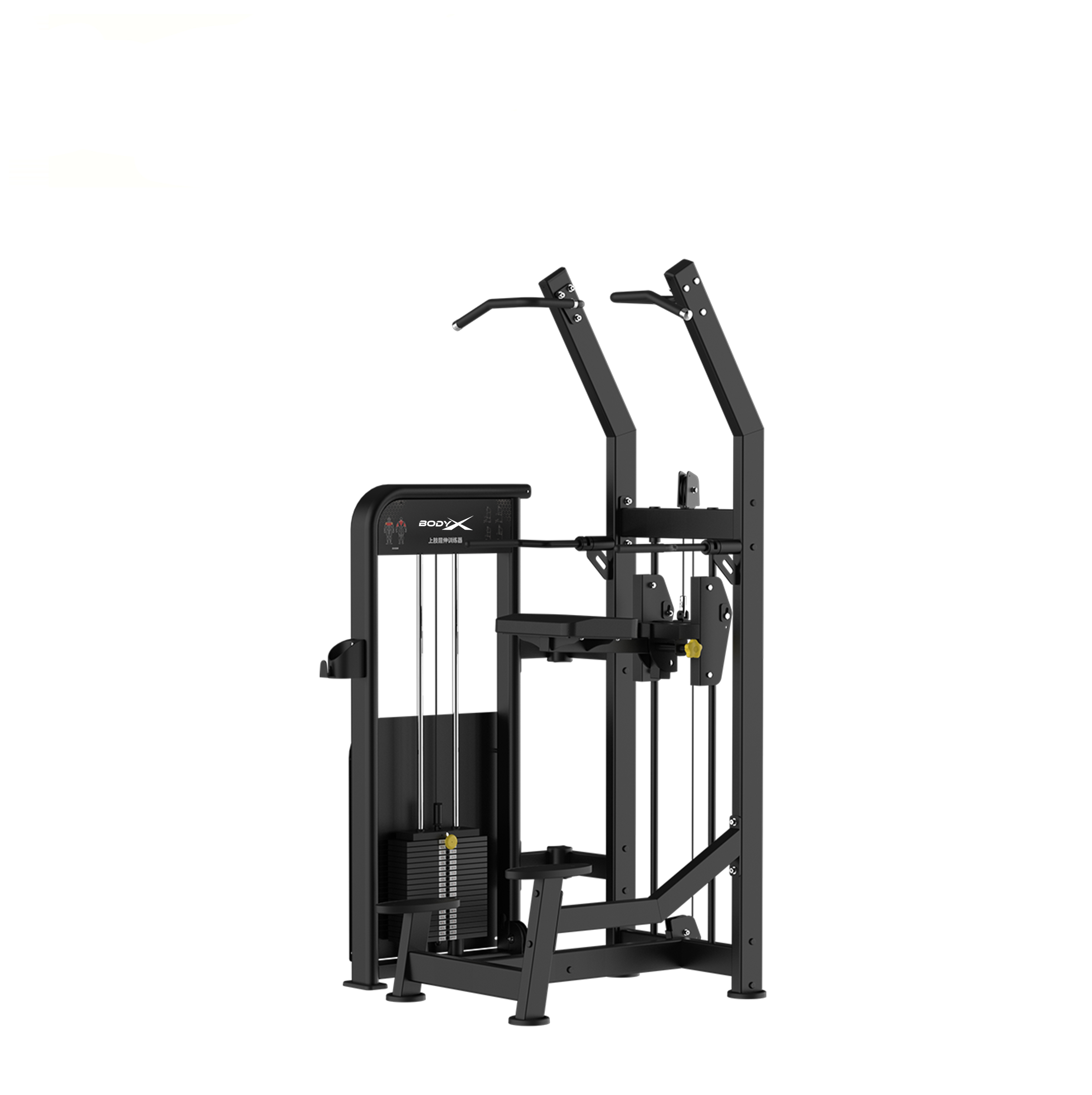 BLY-08 High Quality Factory Direct Wholesale Gym Equipment Commercial Use Assisted Chin/Dip