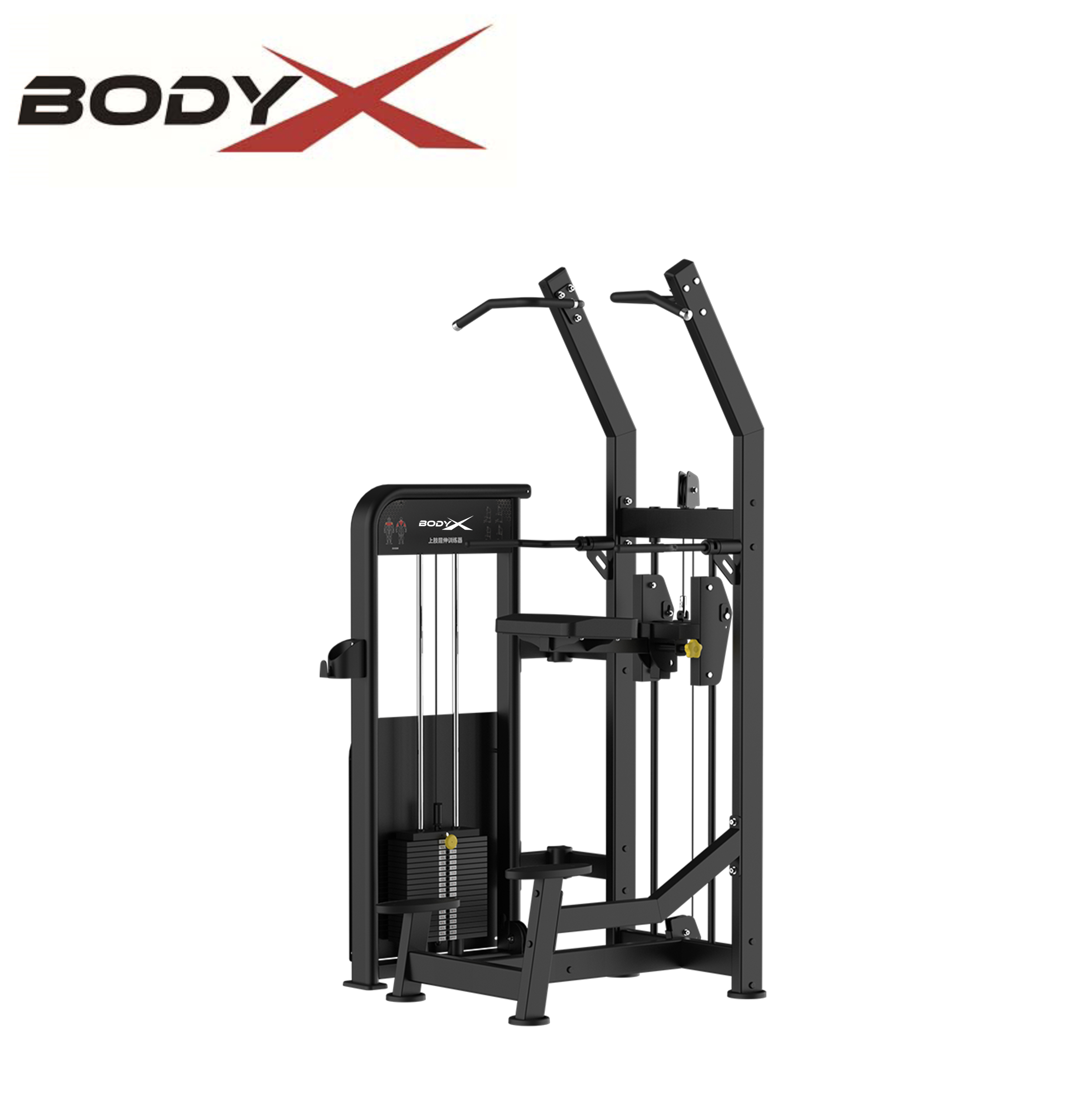 BLY-08 High Quality Factory Direct Wholesale Gym Equipment Commercial Use Assisted Chin/Dip