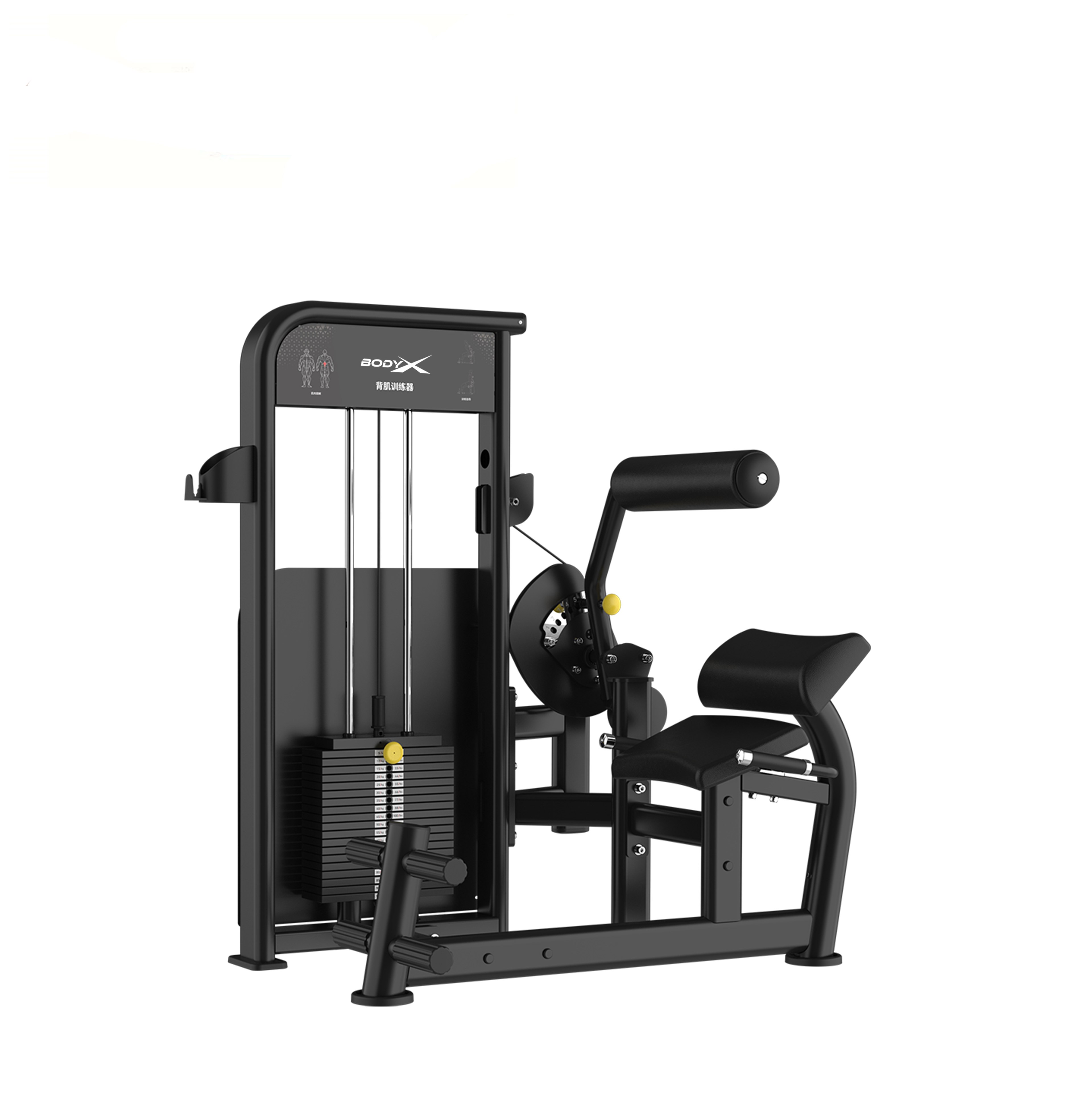 BLY-09 2026 New Design Commercial Steel Fitness Equipment Core Muscle Training Lower Back Machine