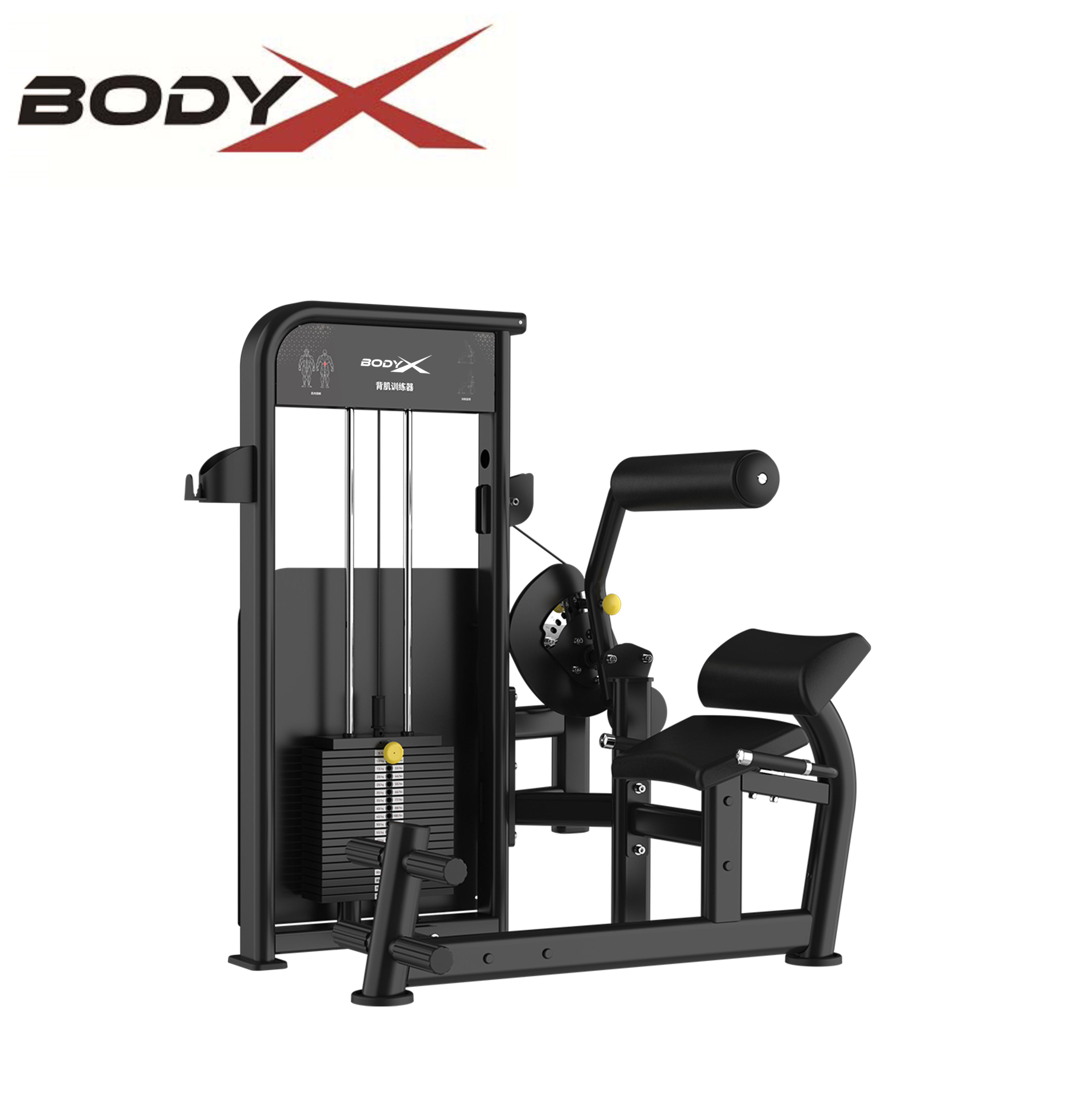 BLY-09 2026 New Design Commercial Steel Fitness Equipment Core Muscle Training Lower Back Machine