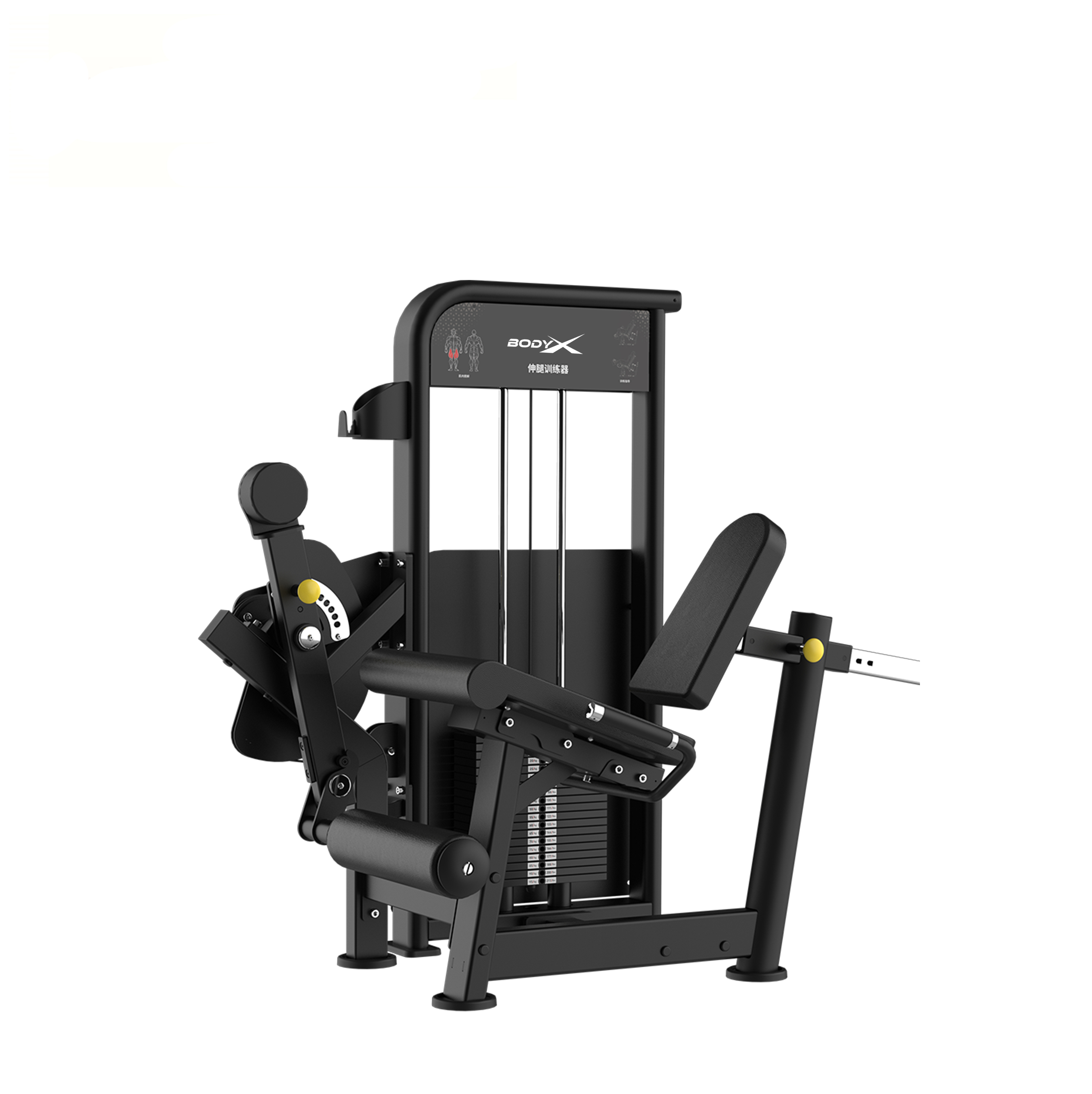 BLY-14 Commercial Use Bodybuilding Gym Fitness Equipment Strength Training Arms Leg Extension Machin