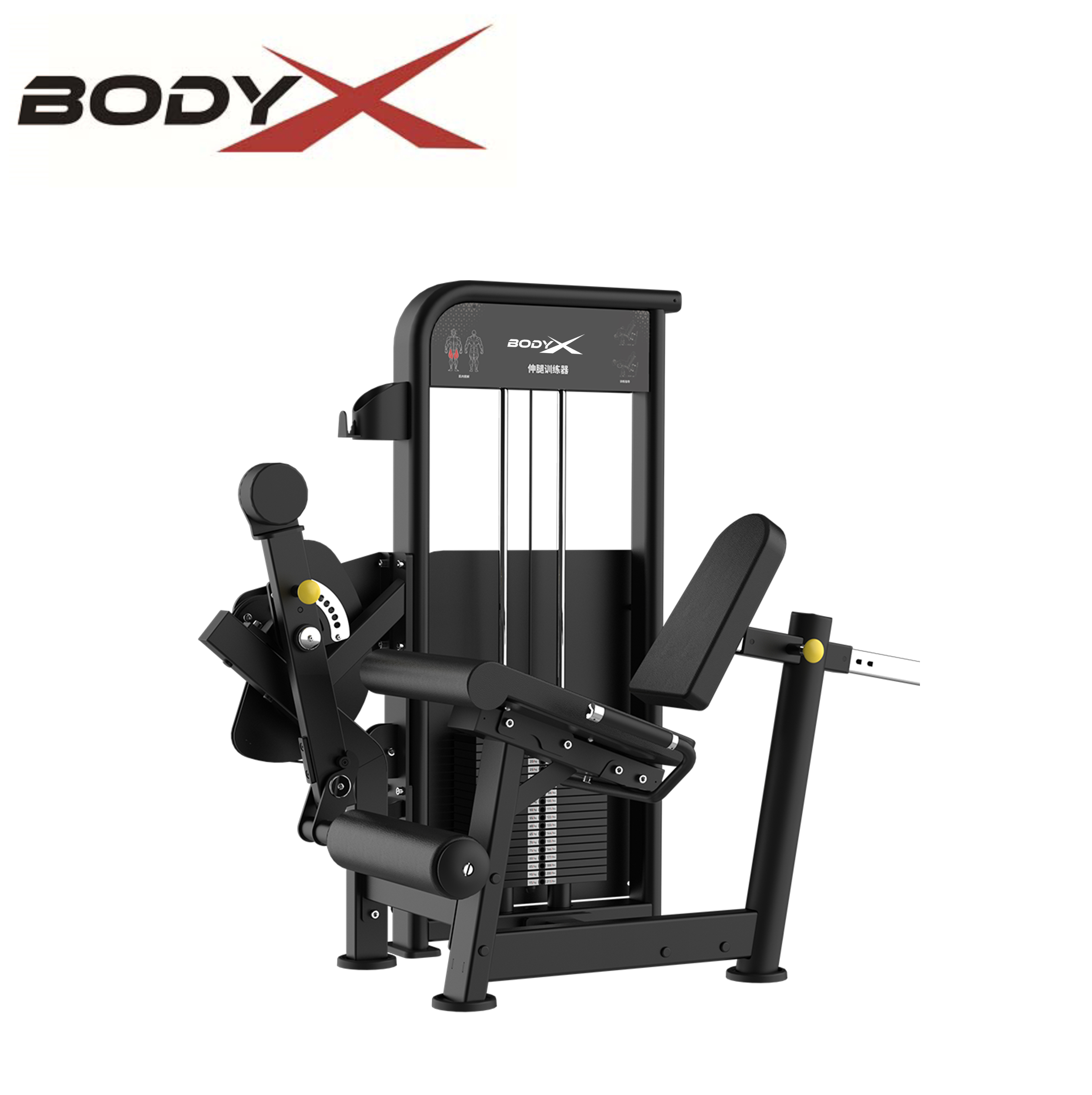 BLY-14 Commercial Use Bodybuilding Gym Fitness Equipment Strength Training Arms Leg Extension Machin