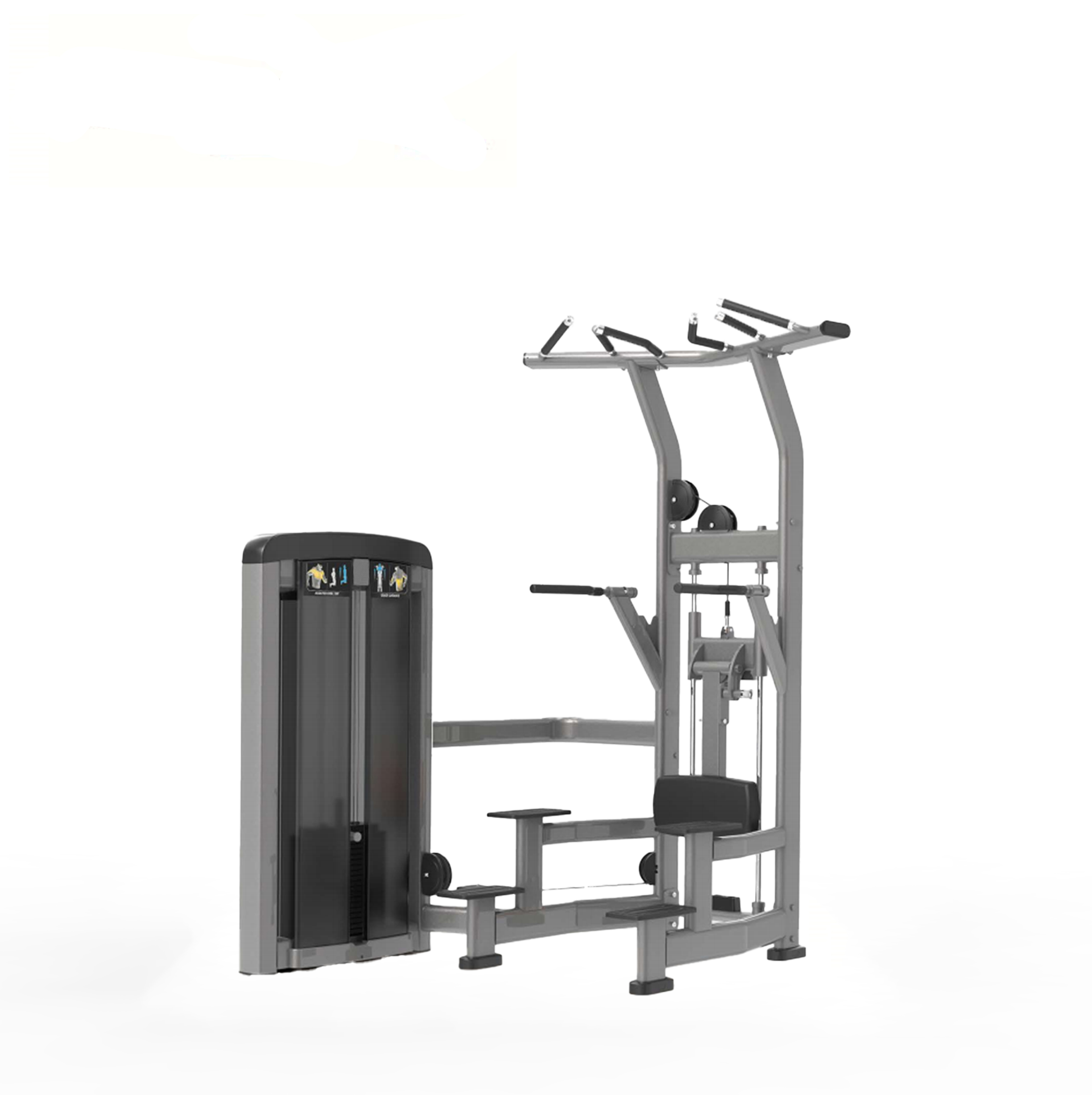 BSF90-008 High Quality Factory Chin Pull up Bar Assisted Chin Dip Machine and Dip Machine