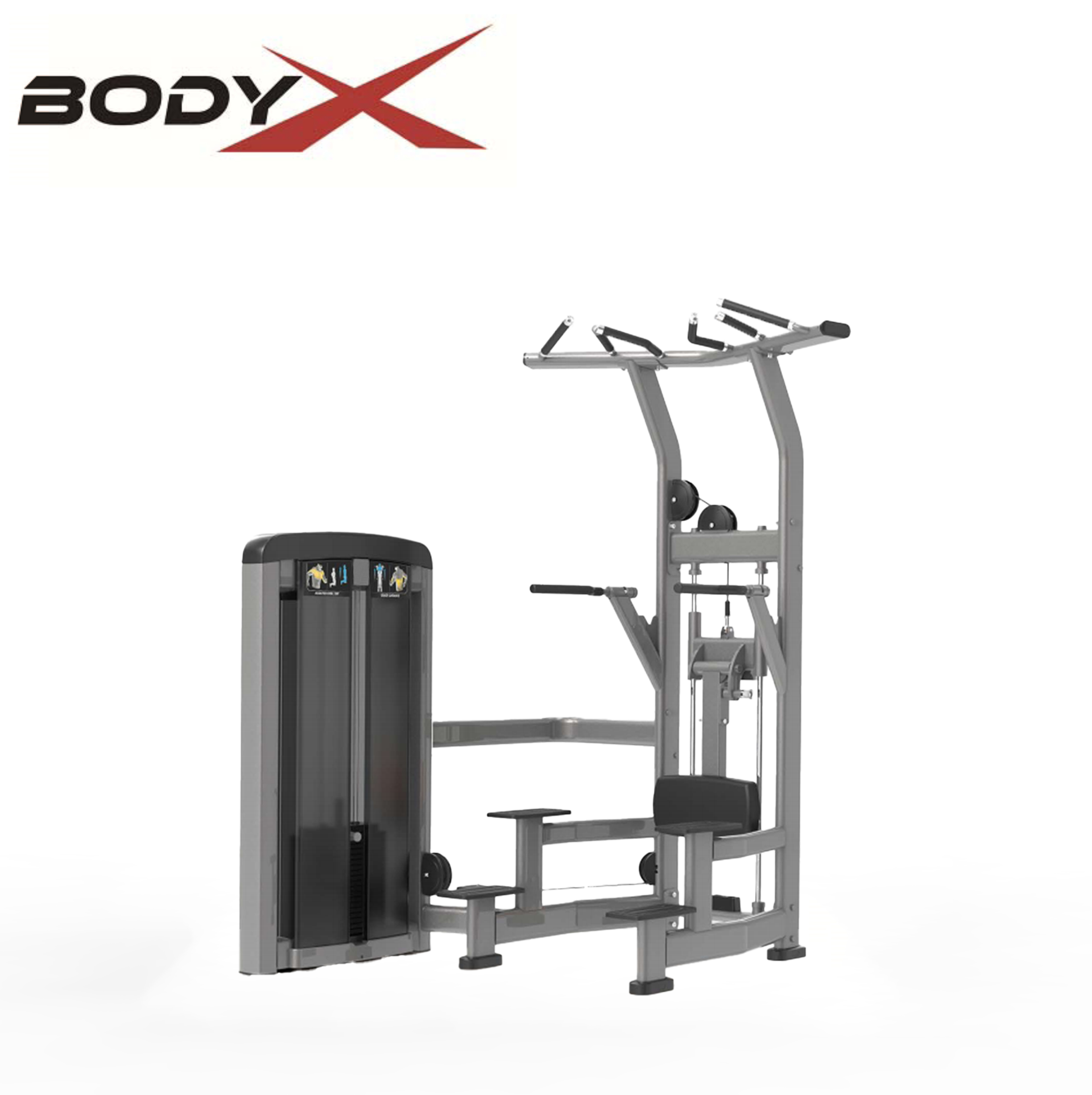 BSF90-008 High Quality Factory Chin Pull up Bar Assisted Chin Dip Machine and Dip Machine