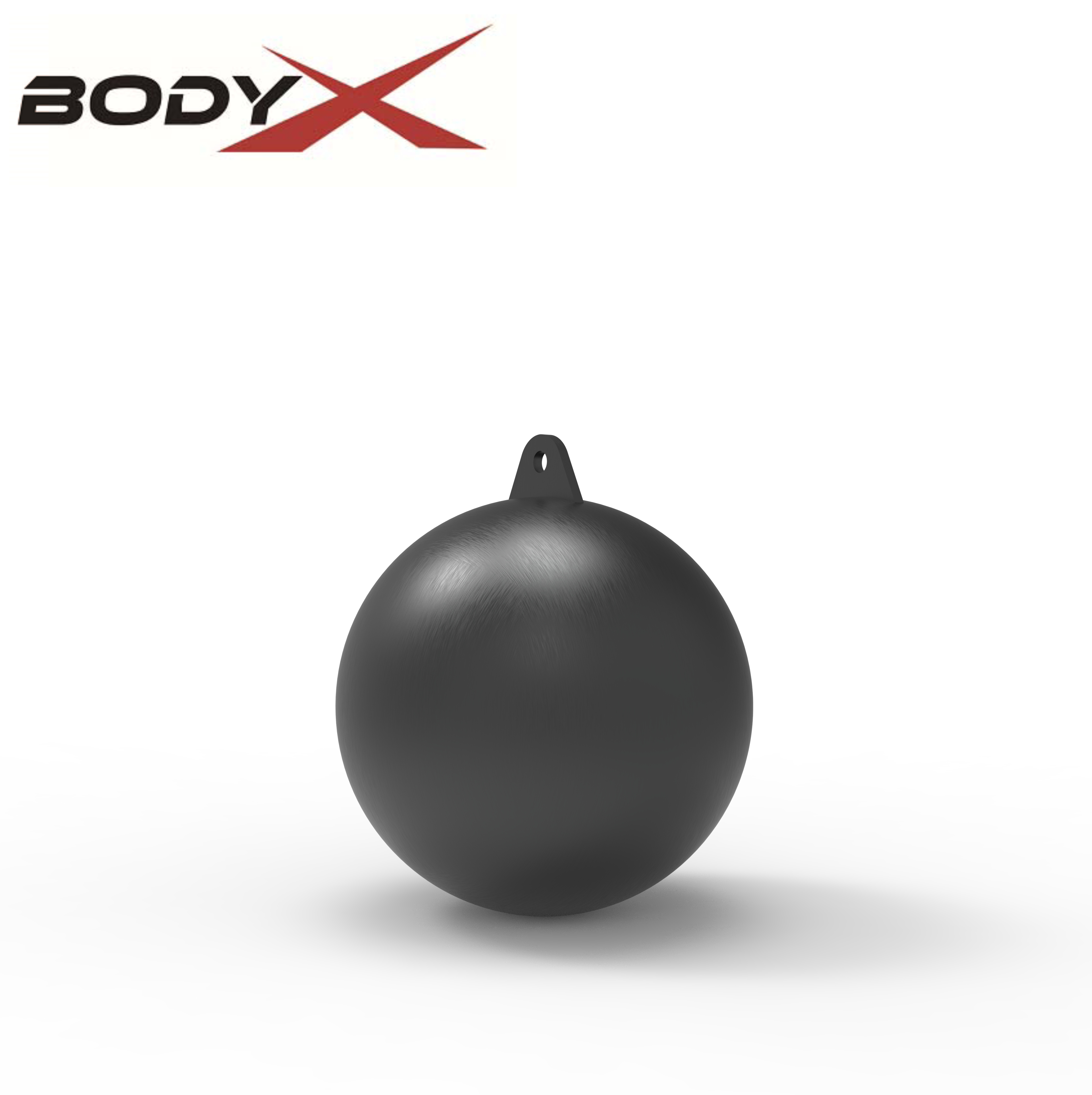 R1037-12 Climbing Pull up Balls