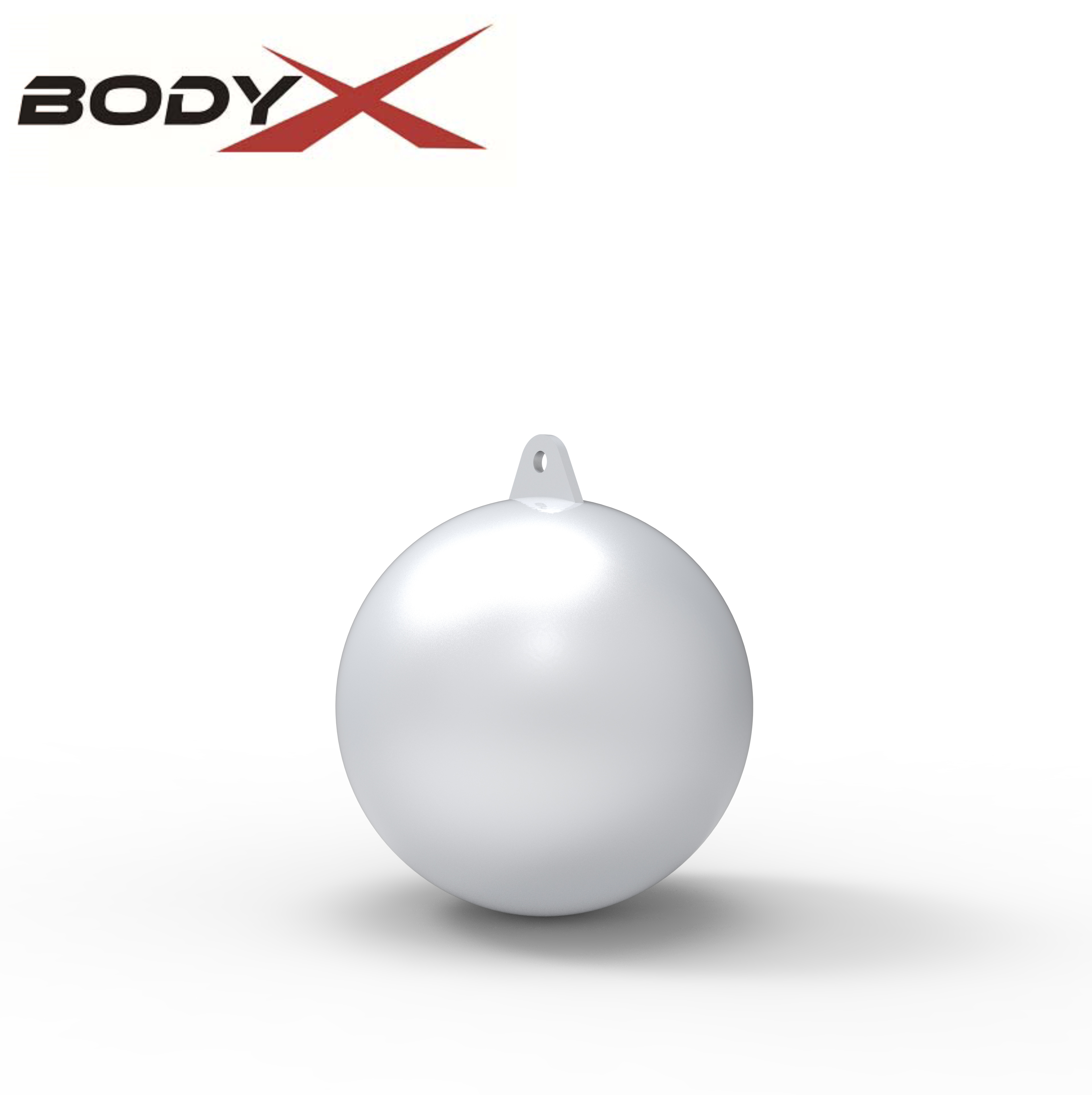 R1037-12 Climbing Pull up Balls