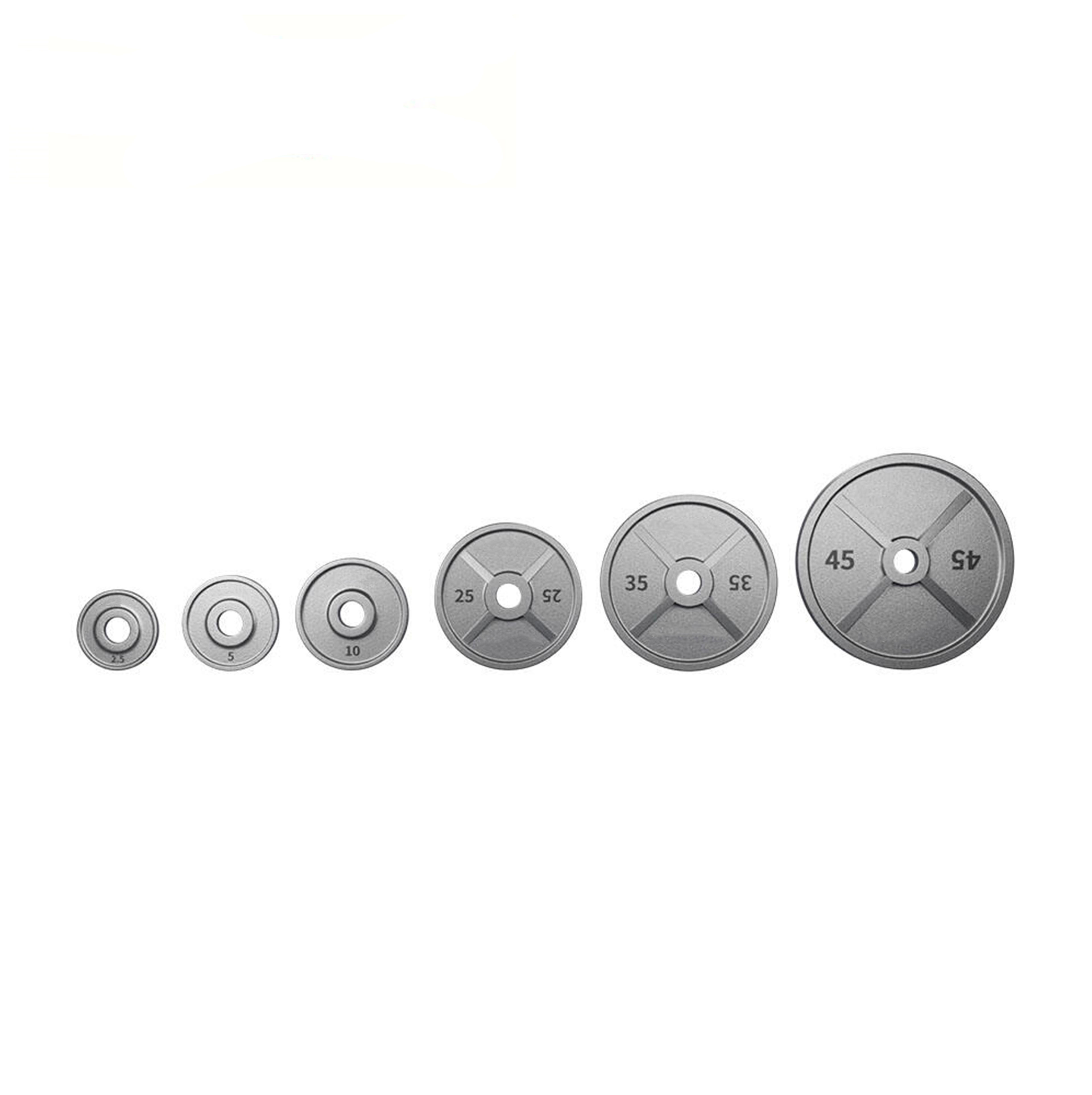 BIP-1 Cast Iron Weight Plate