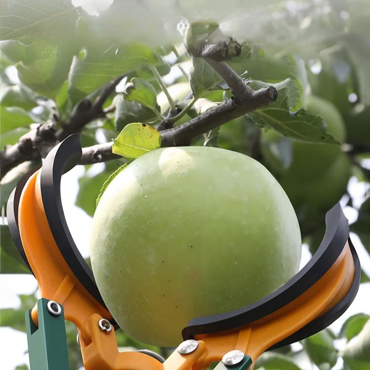 Manueller Teleskop-Obstpflücker