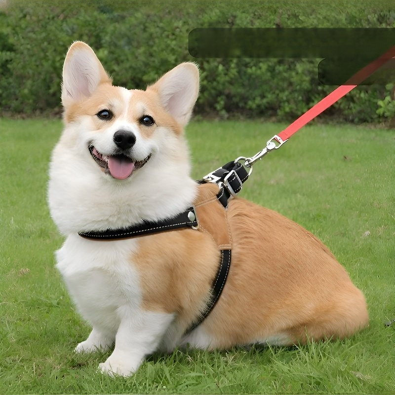 Reflektierende Leine für Haustiere, atmungsaktiv