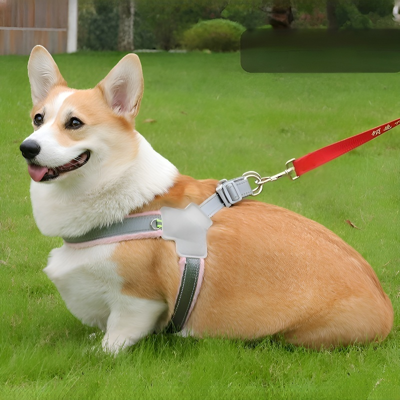 Reflektierende Leine für Haustiere, atmungsaktiv