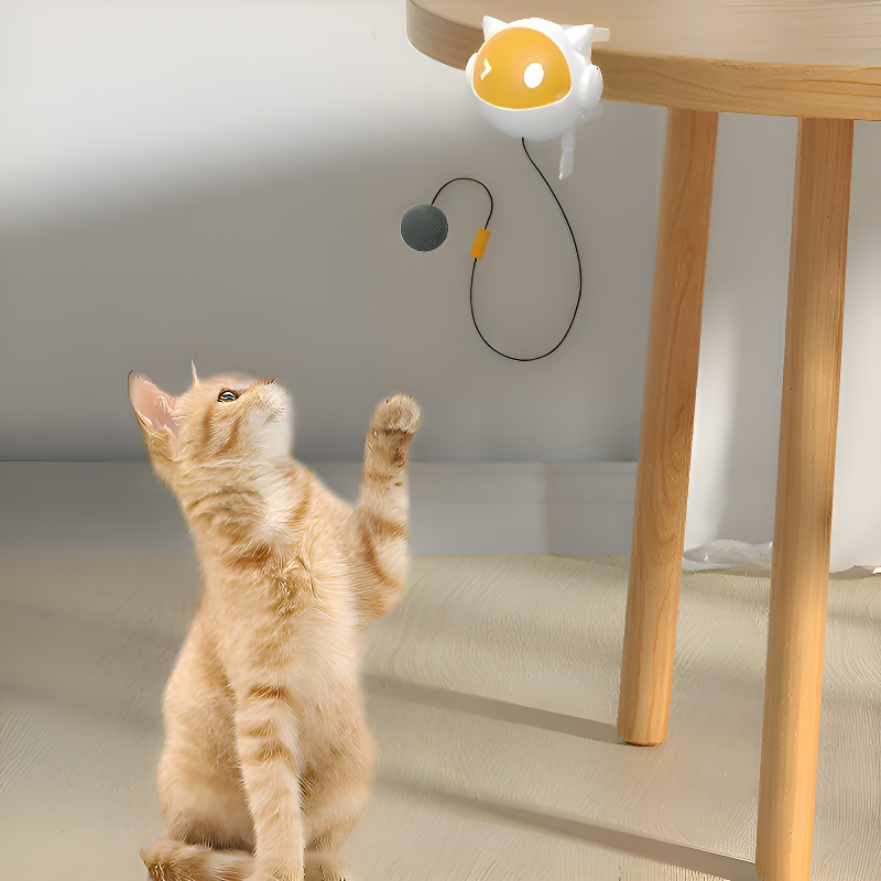 Katzen Selbsthilfe Spielzeugball