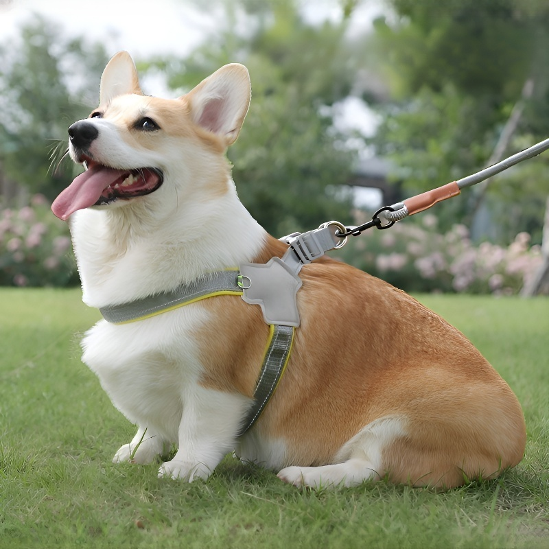 Reflektierende Leine für Haustiere, atmungsaktiv
