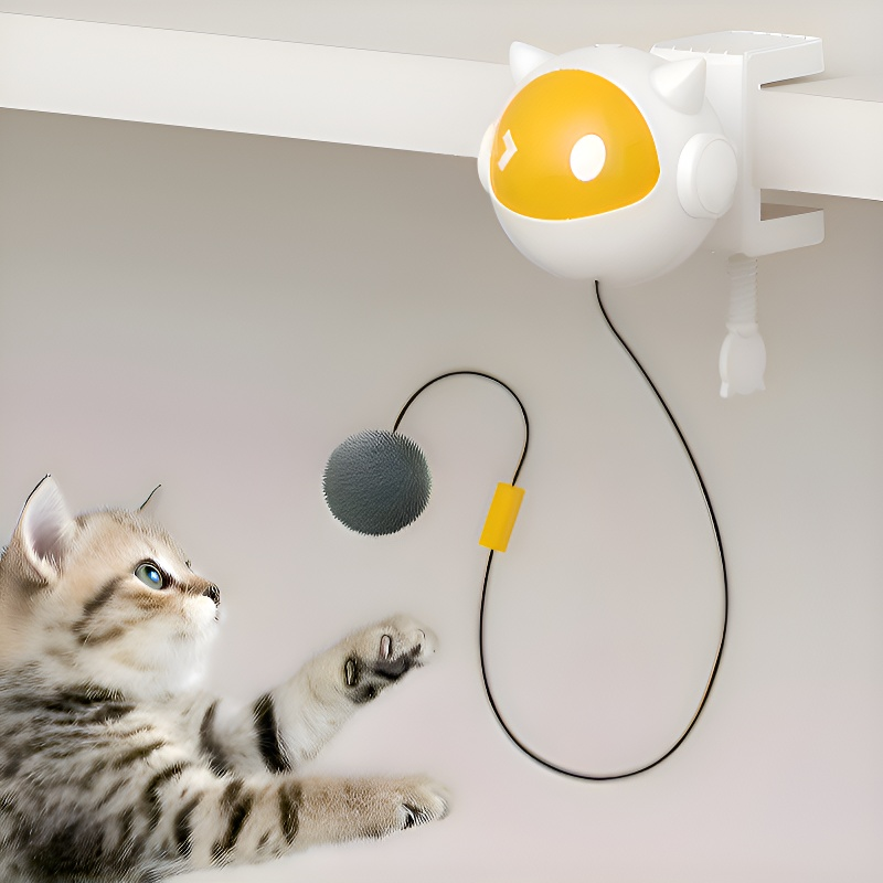 Katzen Selbsthilfe Spielzeugball