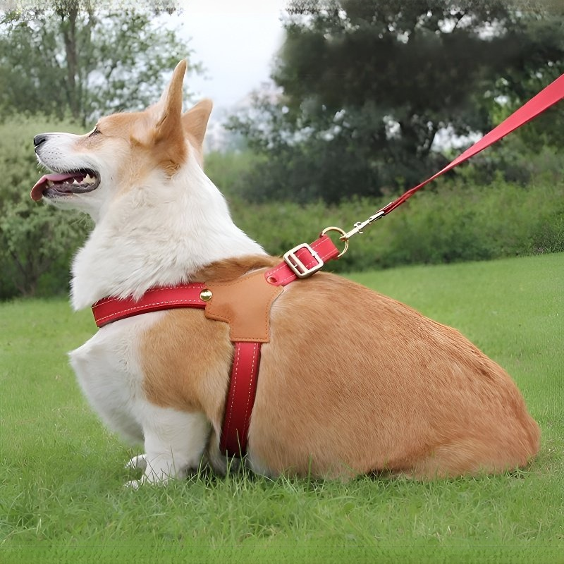 Reflektierende Leine für Haustiere, atmungsaktiv