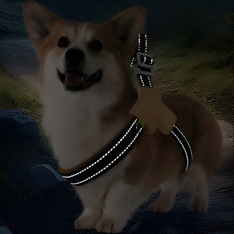 Reflektierende Leine für Haustiere, atmungsaktiv