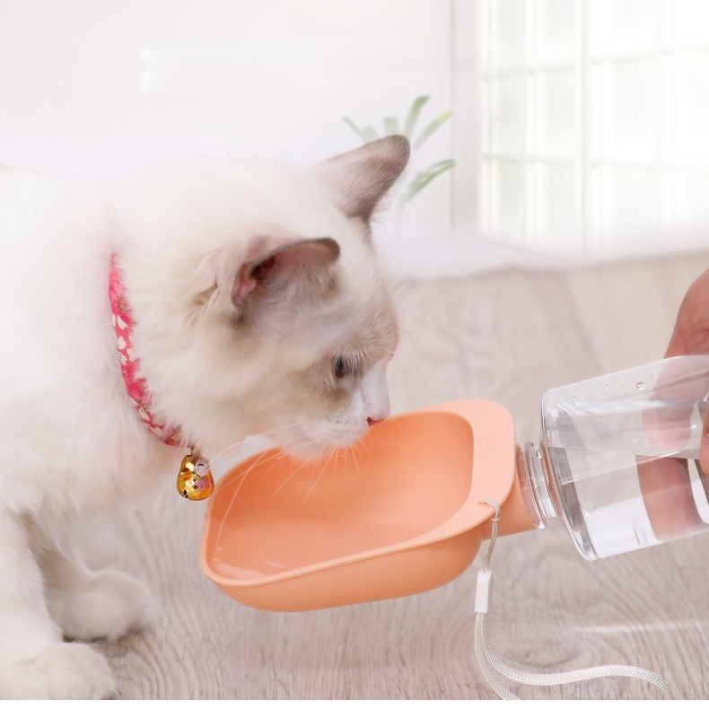 Portable Pet Water Bottle