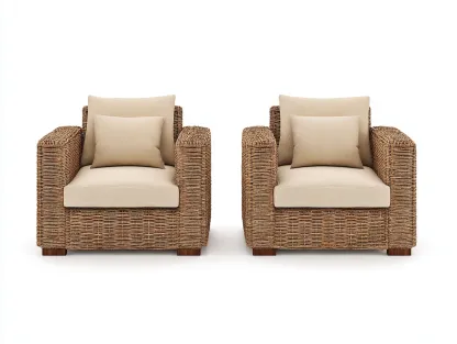 Set di 2 poltrone da giardino in rattan intrecciato 82x80x78 cm - naturale/beige - per esterno - seduta ampia e stile naturale-Roomure
