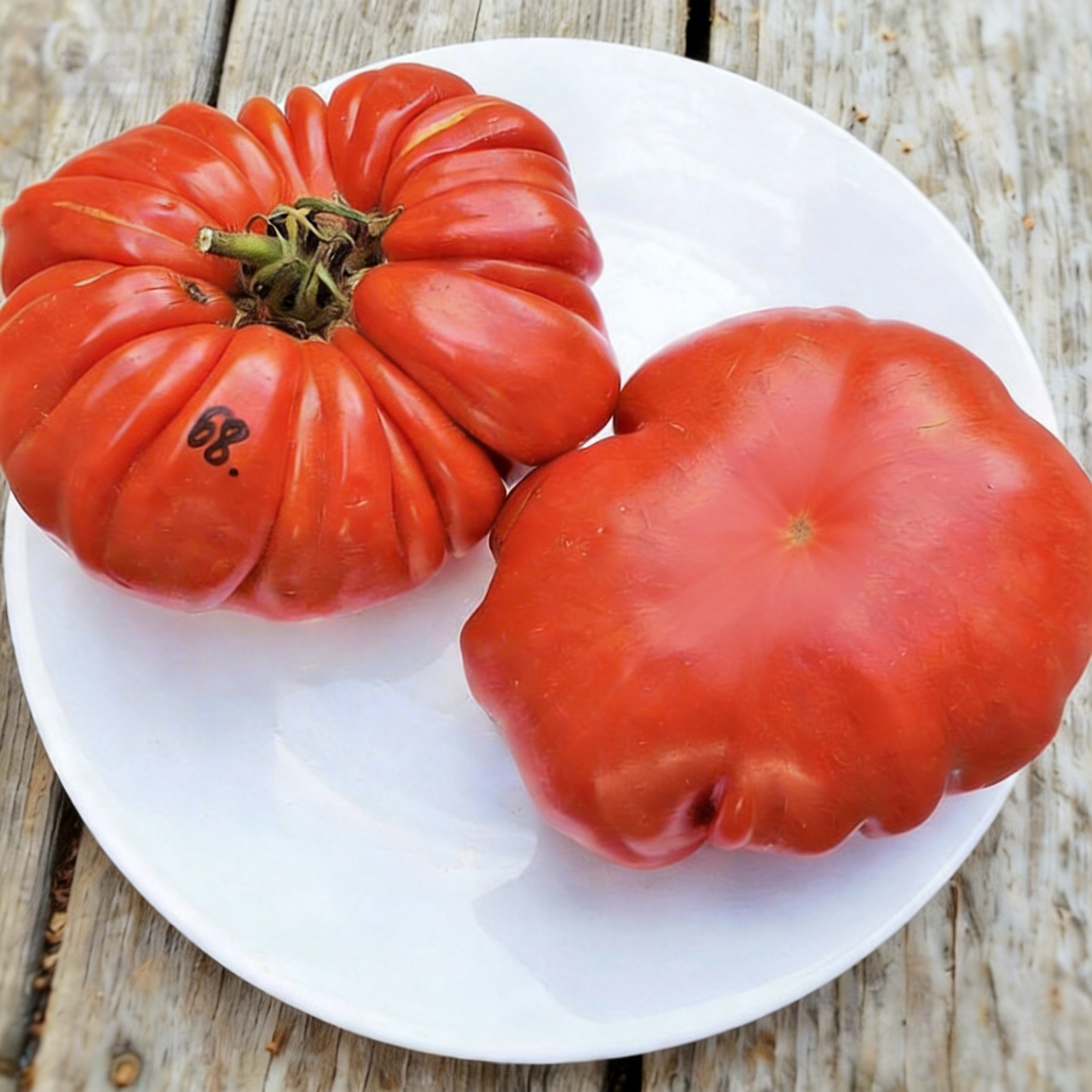 🍅 Die Gigante Farina – Züchte die größte Tomate deines Lebens!