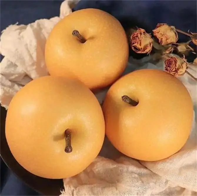 🍂Akizuki Pear Seeds-Big, sweet, and juicy🍐