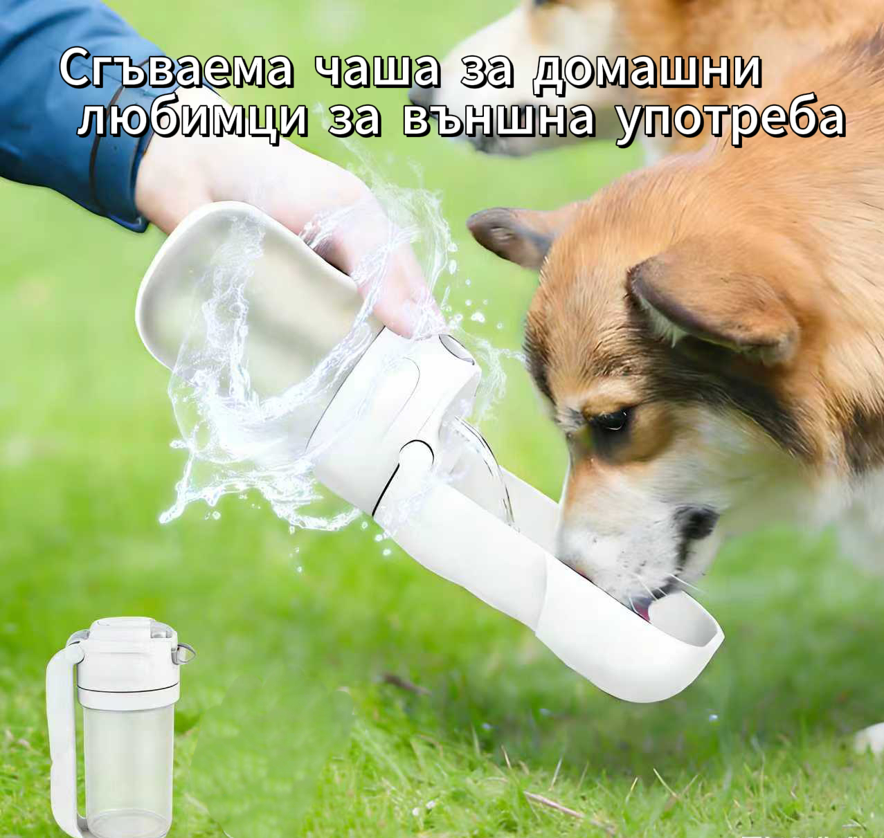 Бутилка за вода за домашни любимци