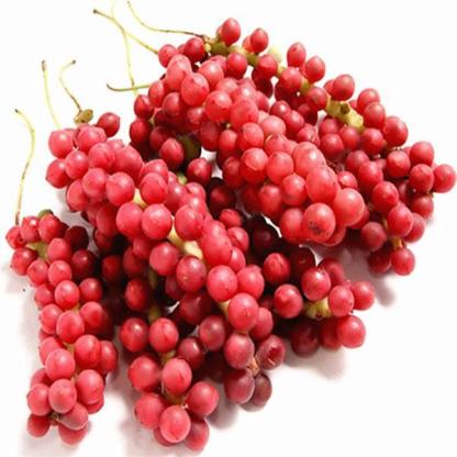 Egrow 50Pcs（100Pcs）/Pack Schisandra Seeds Chinese Magnolia Vine Edible Garden Fruit Tree Seed DIY Plants