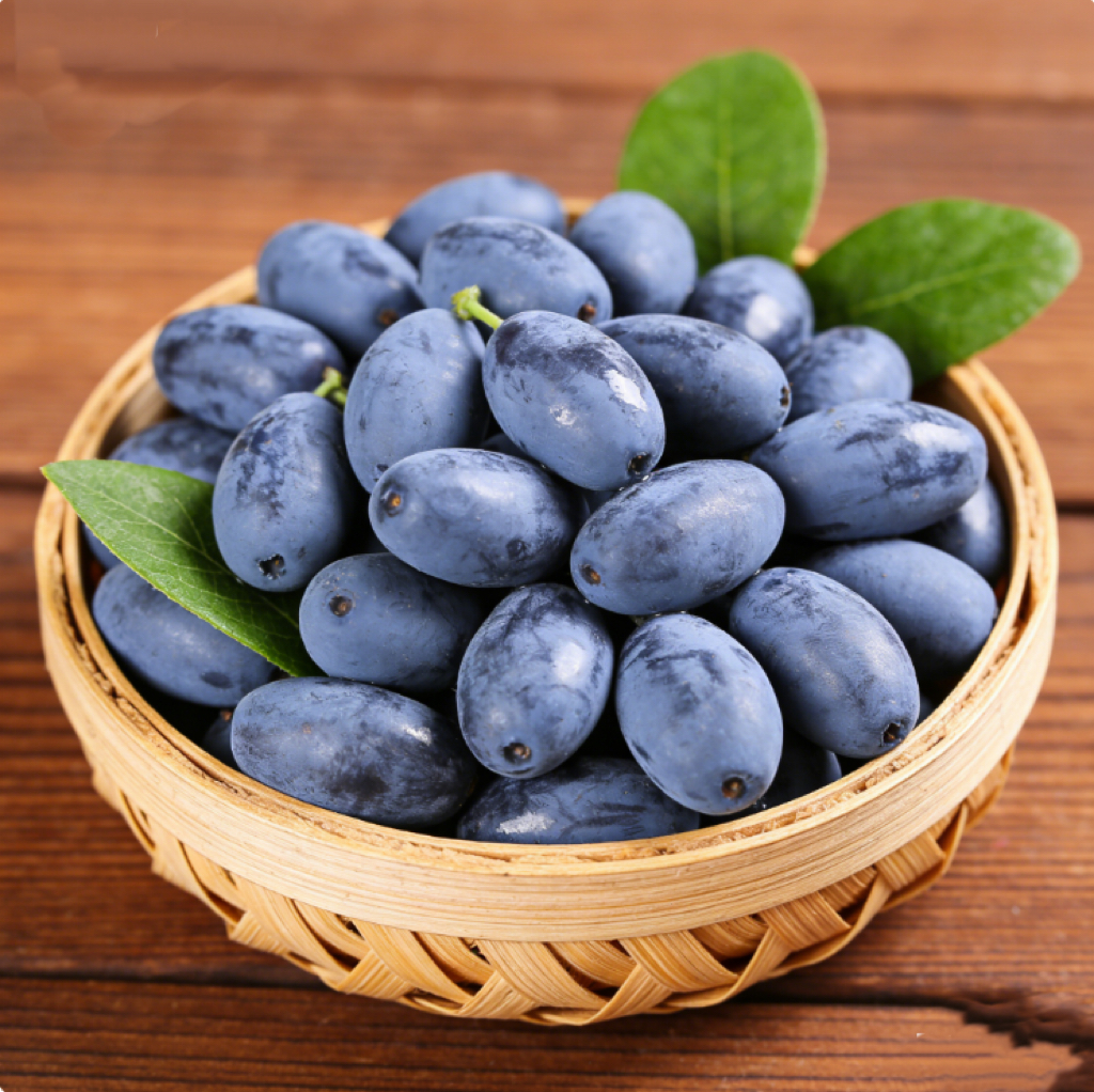 🌿 Редки семена от зимолюбка – супер хранителен плод 🍇, перфектен за домашно градинарство 🏡!