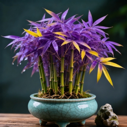 🌿 Сънна бамбука — Многобояна щастлива бамбукова кипарис