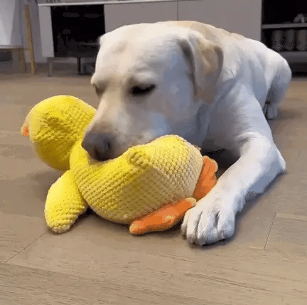 Плюшено пате със звук за кучета