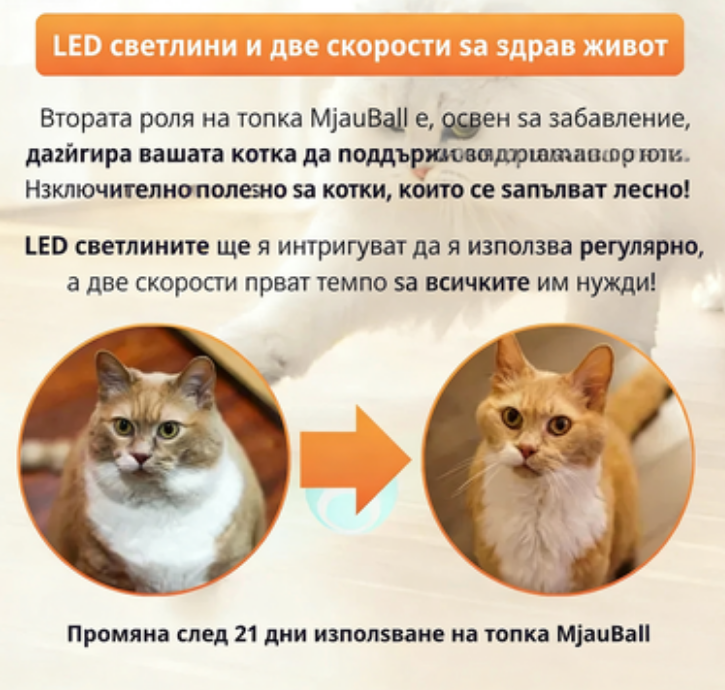 Умна интерактивна топка за котки