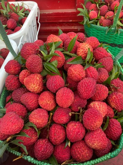 50 % de réduction🎁 Graines de Litchi Géant Sans Noyau ✨
