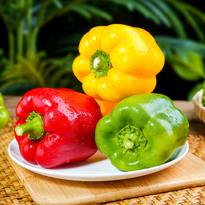 🫑Colorful Sweet Pepper Seeds Organic